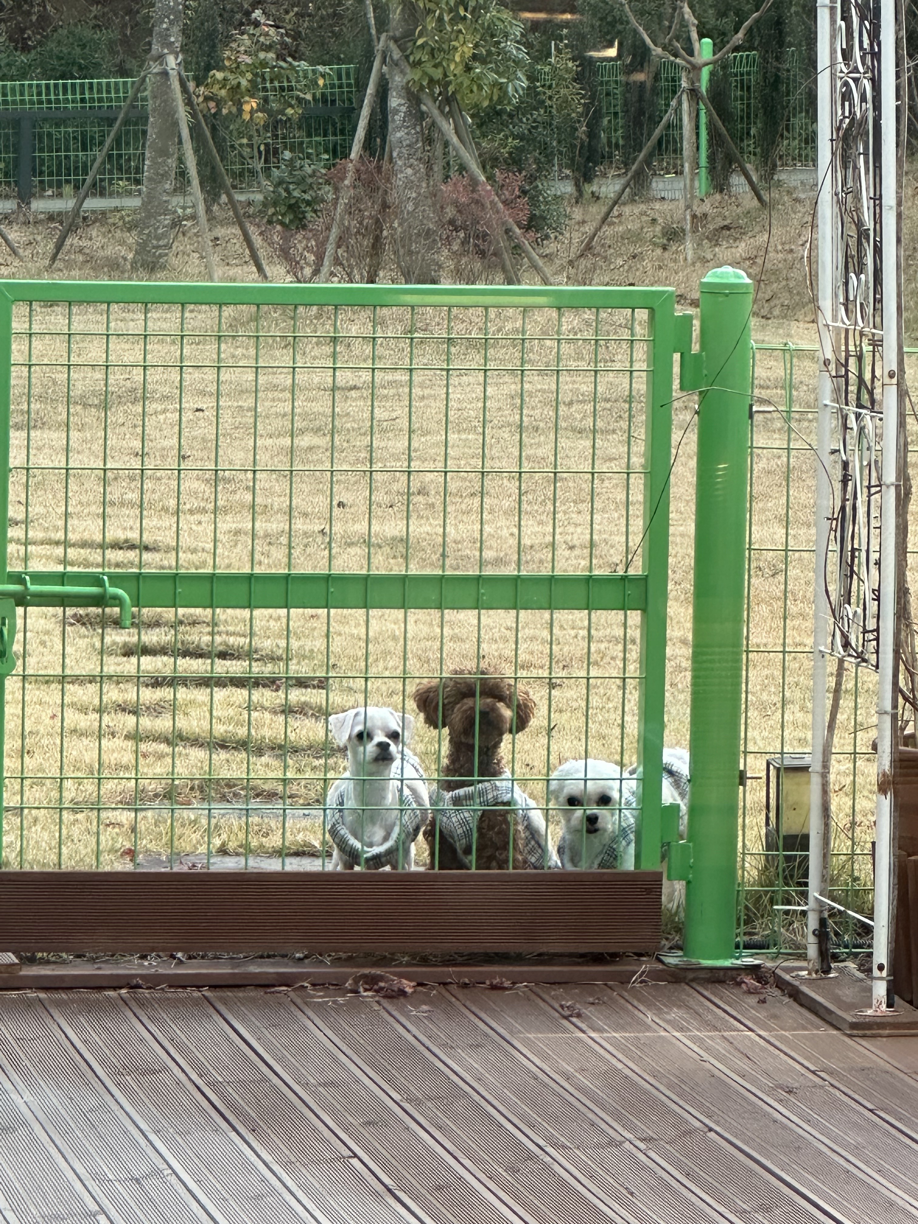 3.3카페 대표 이미지