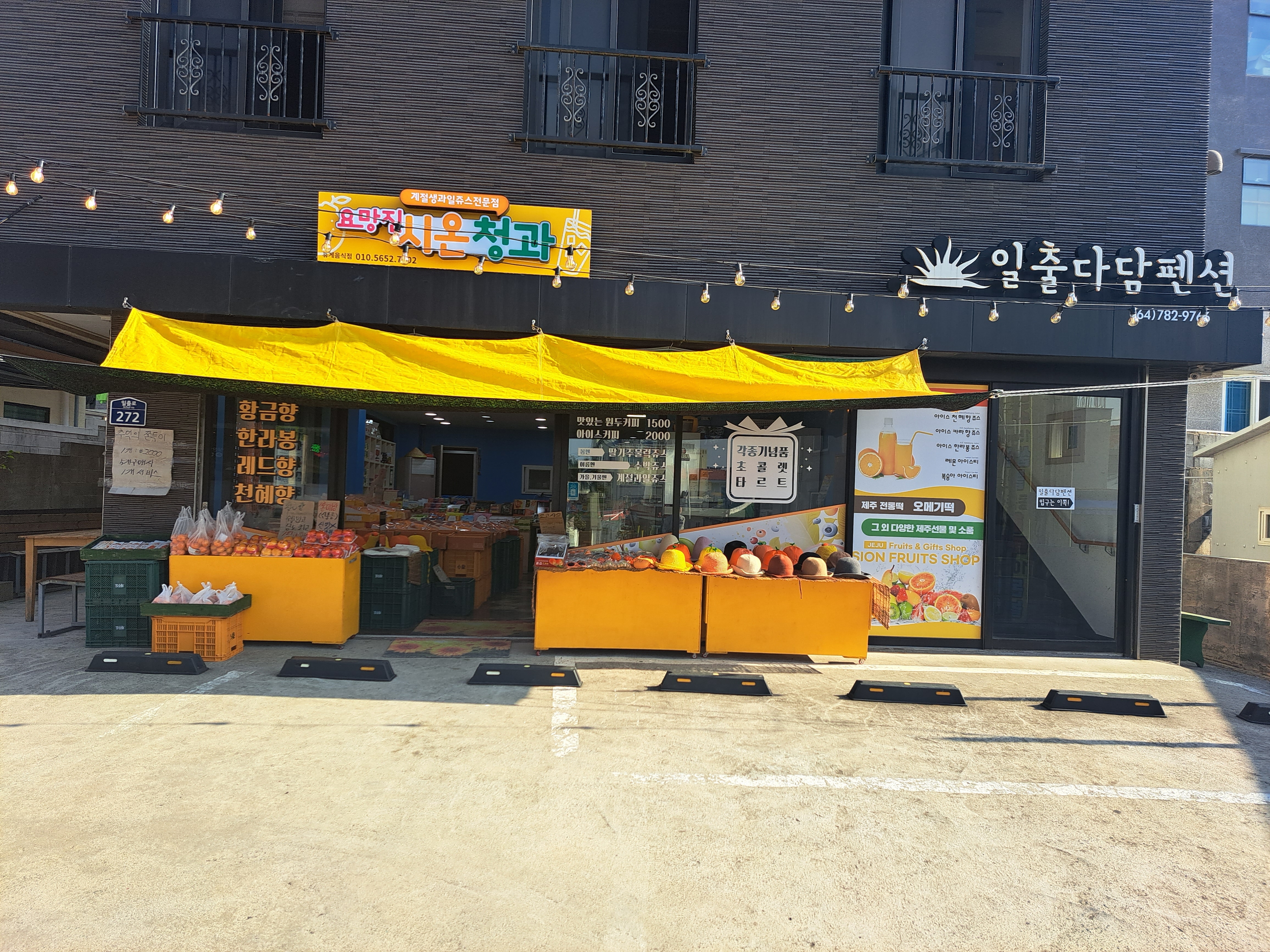 요망진시온청과