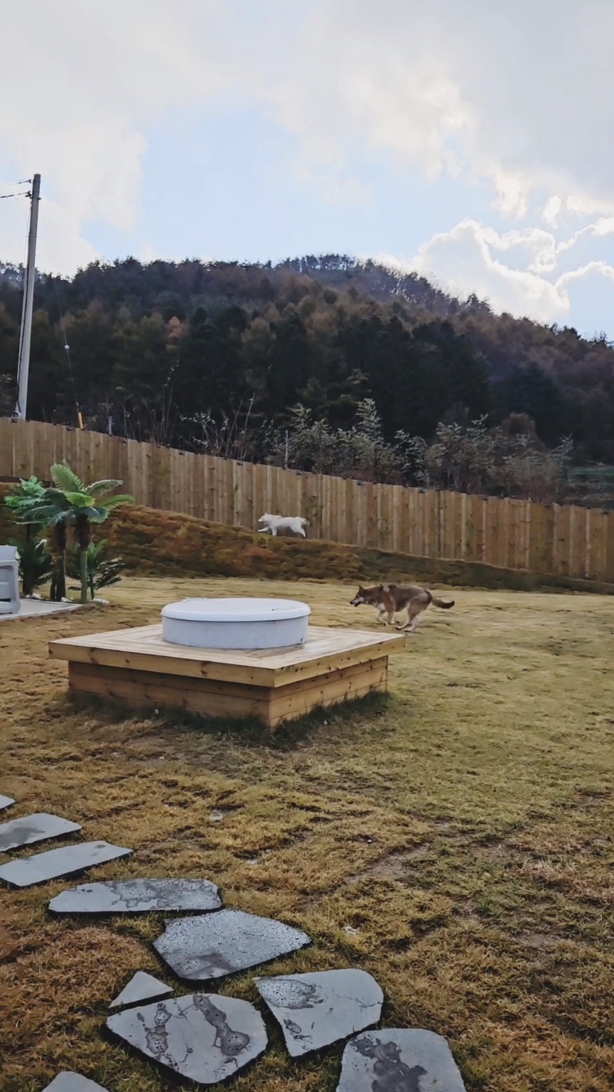 빵순돌이네하우스