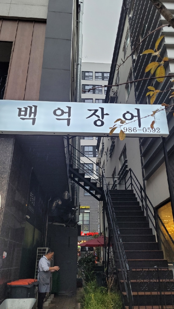 백억장어