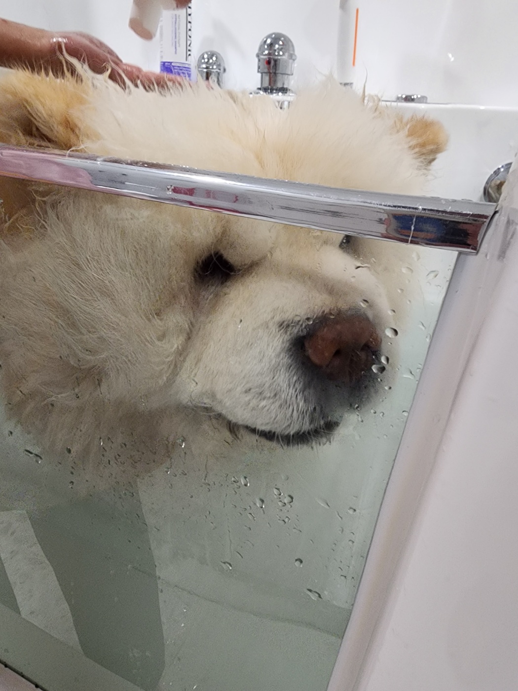 빵순돌이네하우스