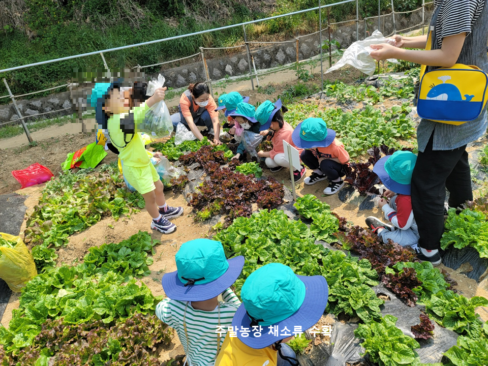 또래친구어린이집