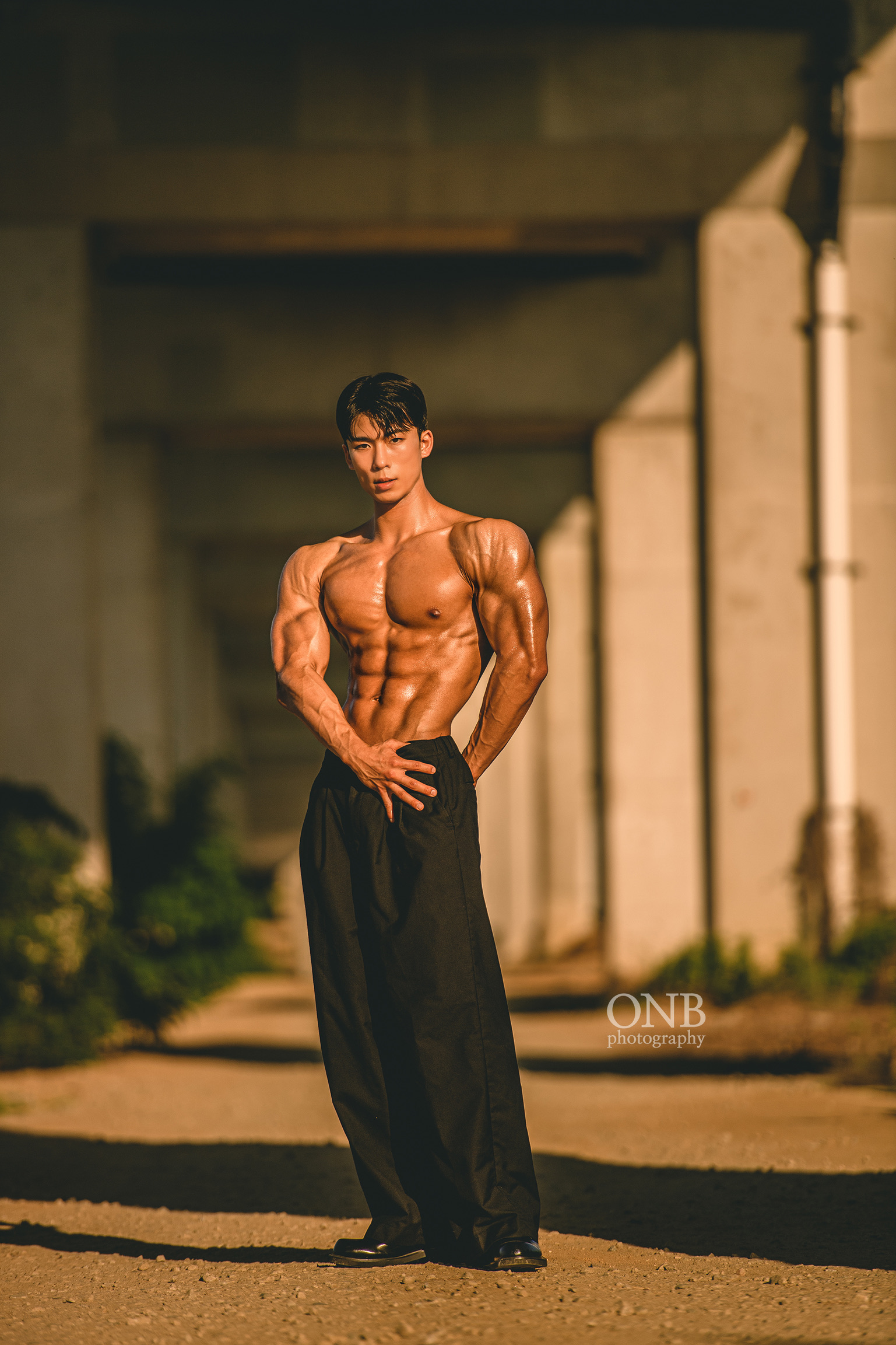 온비스튜디오