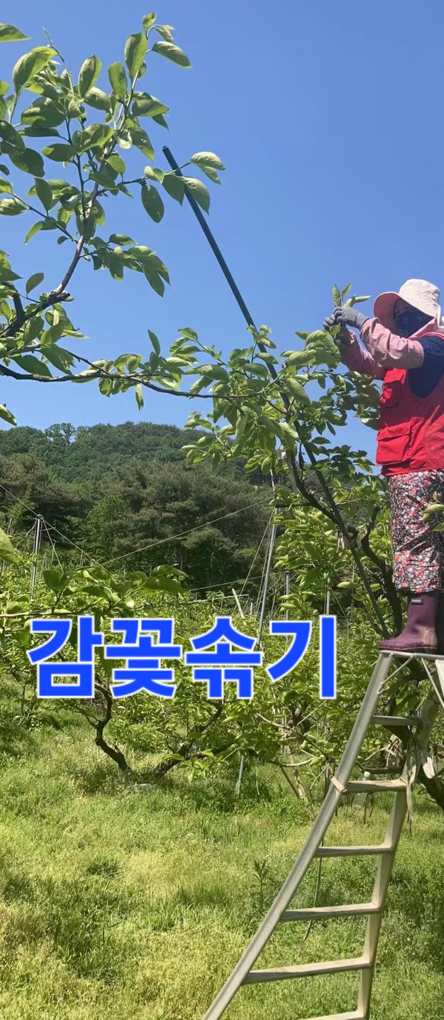 한마음인력