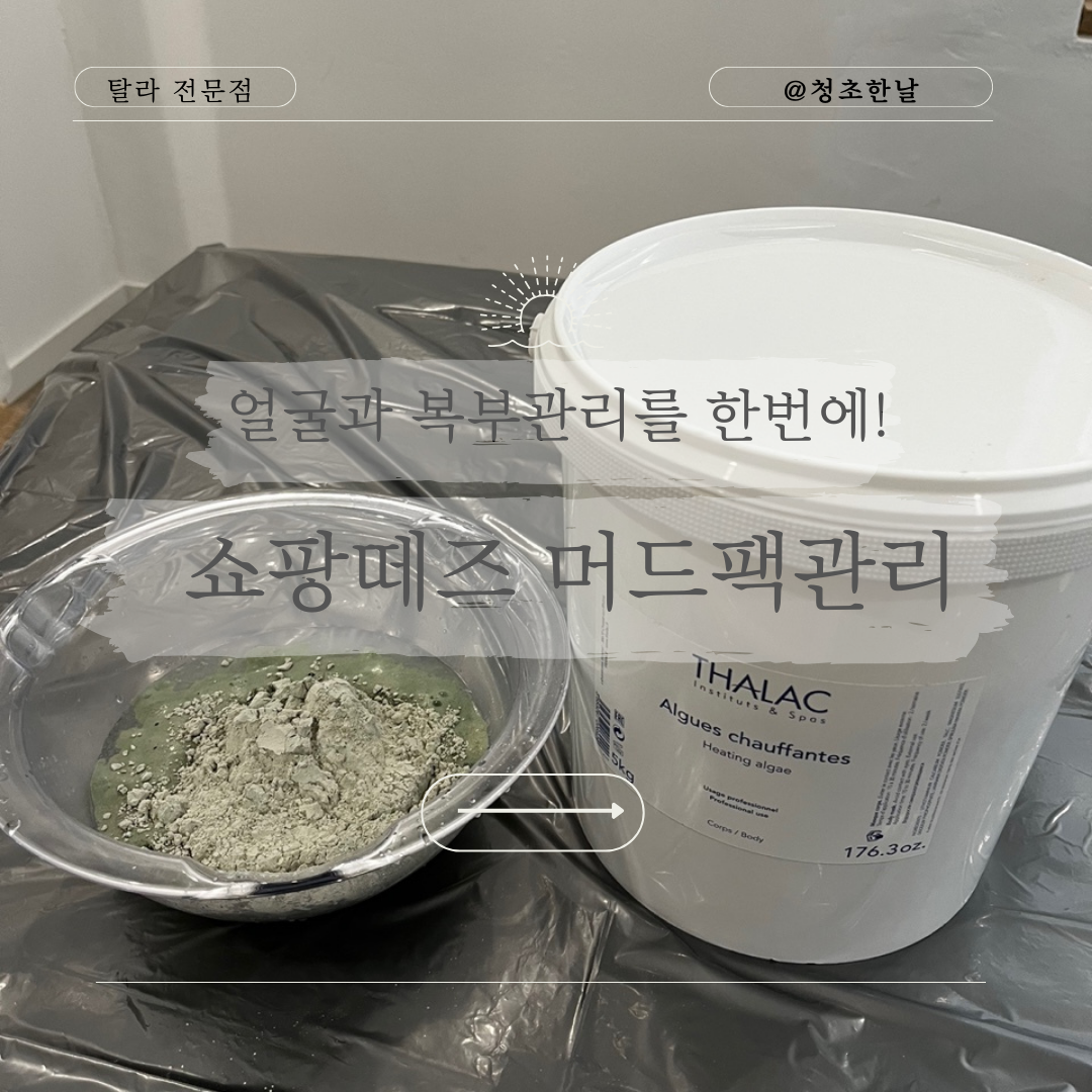 청초한날 photo 7