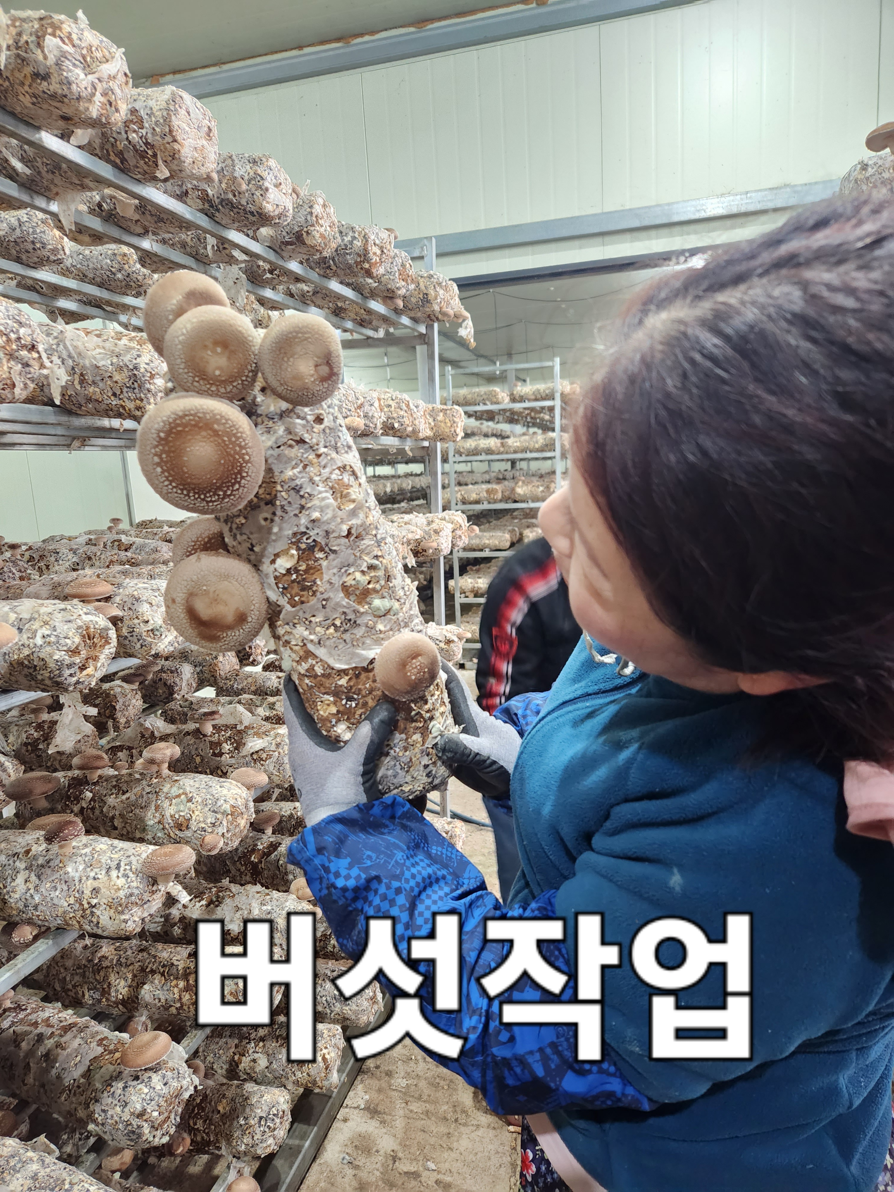 한마음인력