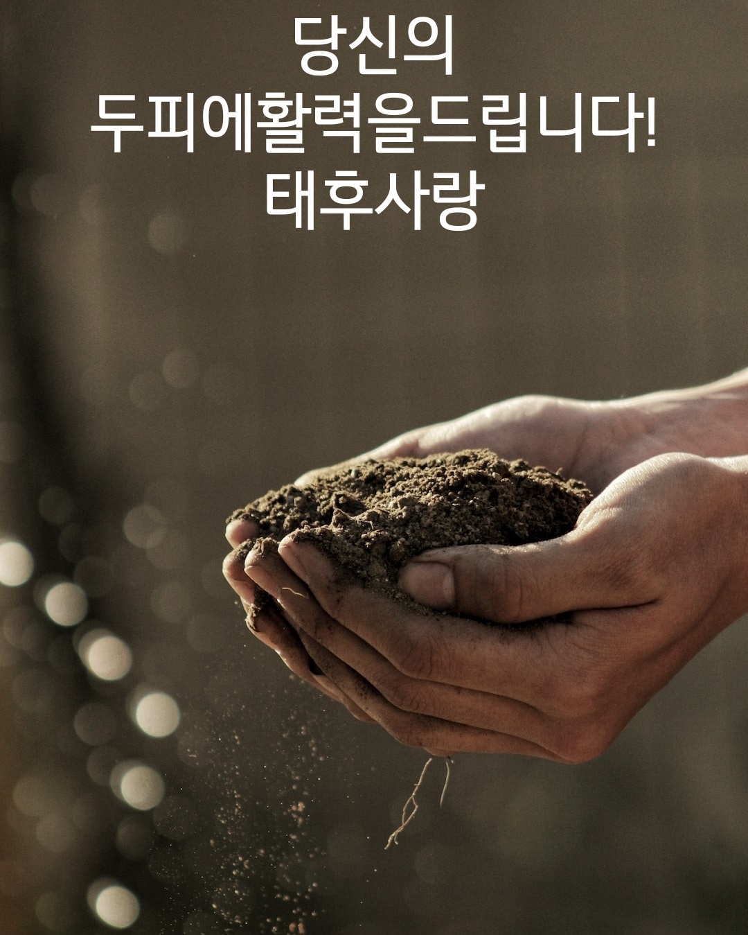 태후사랑 전주송천점