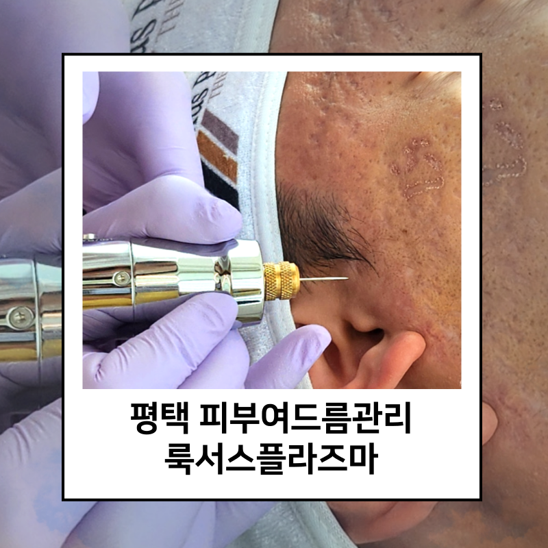 더스무스 피부왁싱 평택고덕점