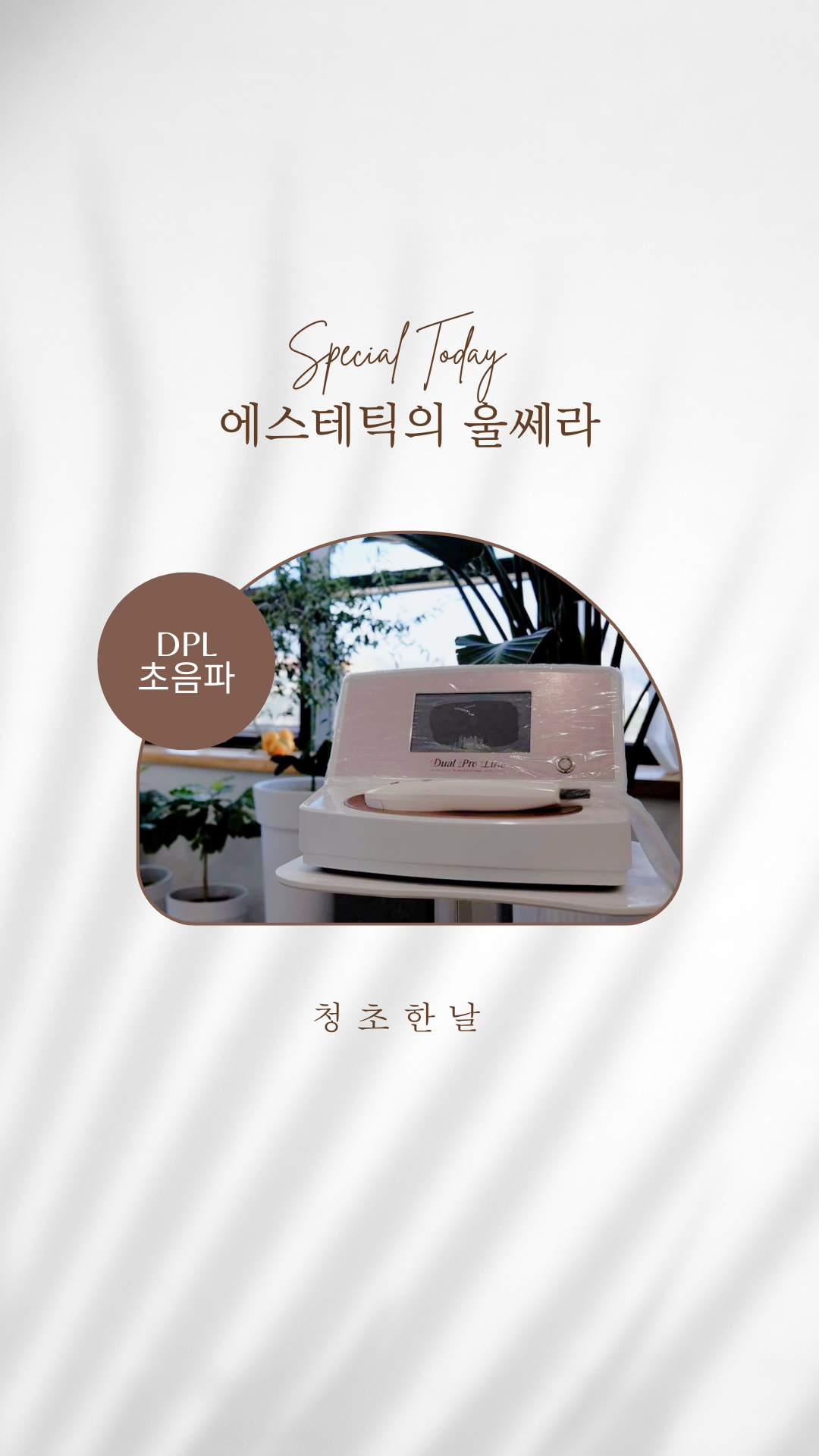 청초한날 대표 이미지