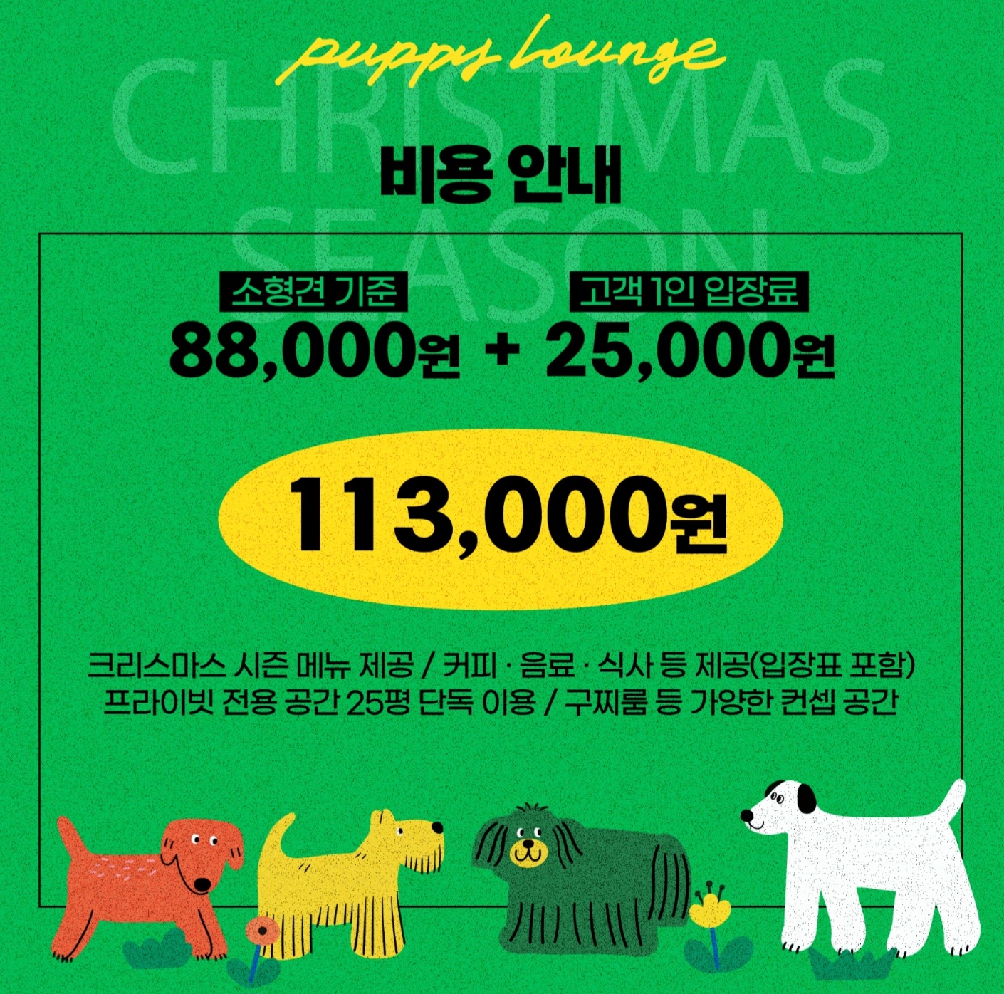 퍼피라운지 서울 애견맛집