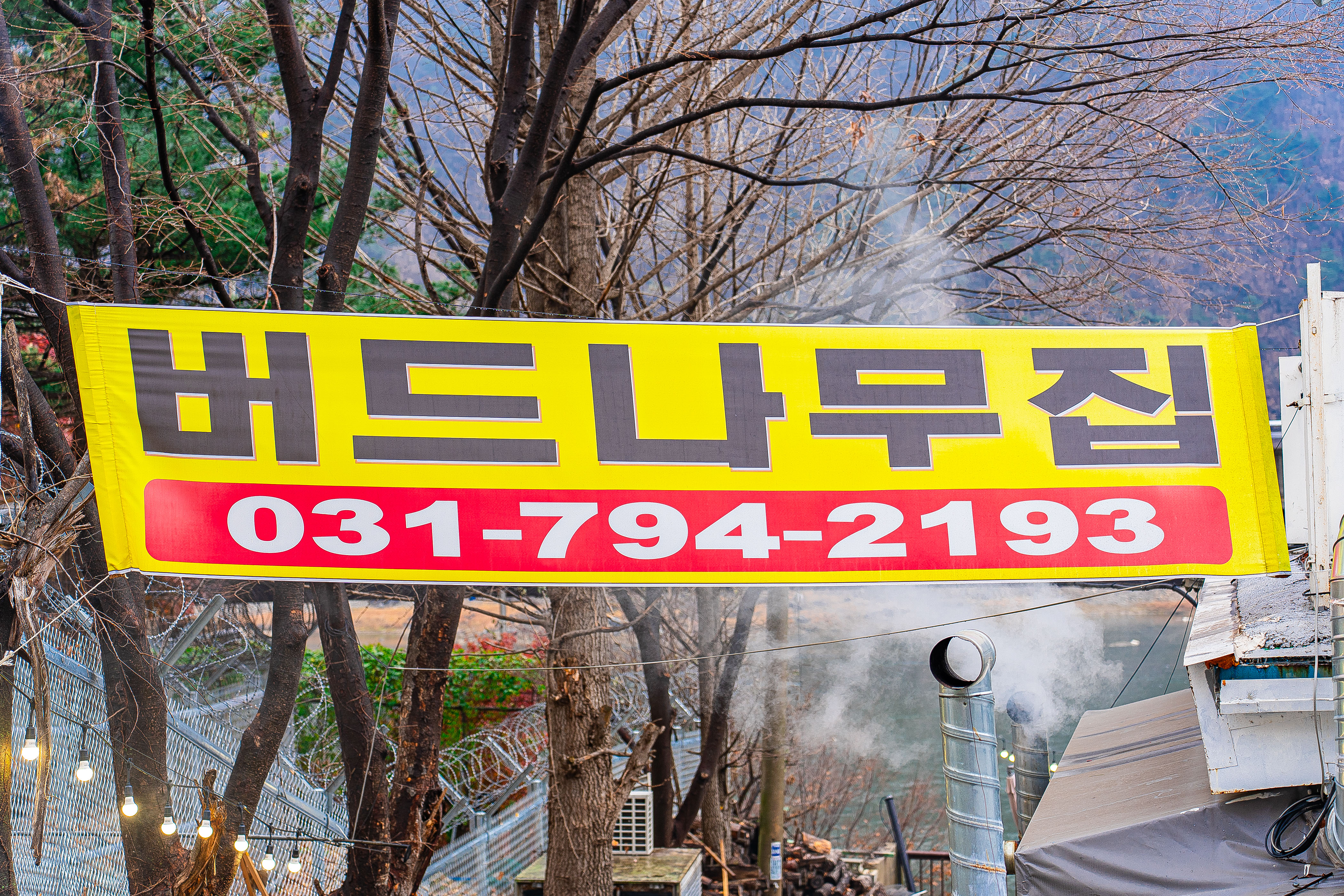버드나무집
