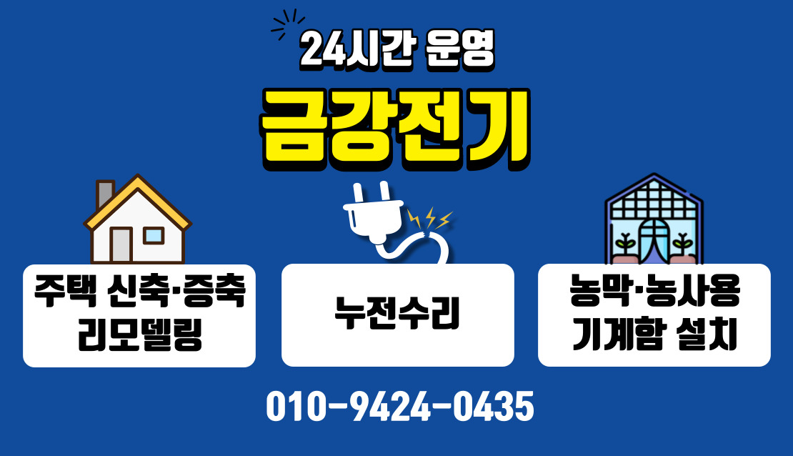 금강전기