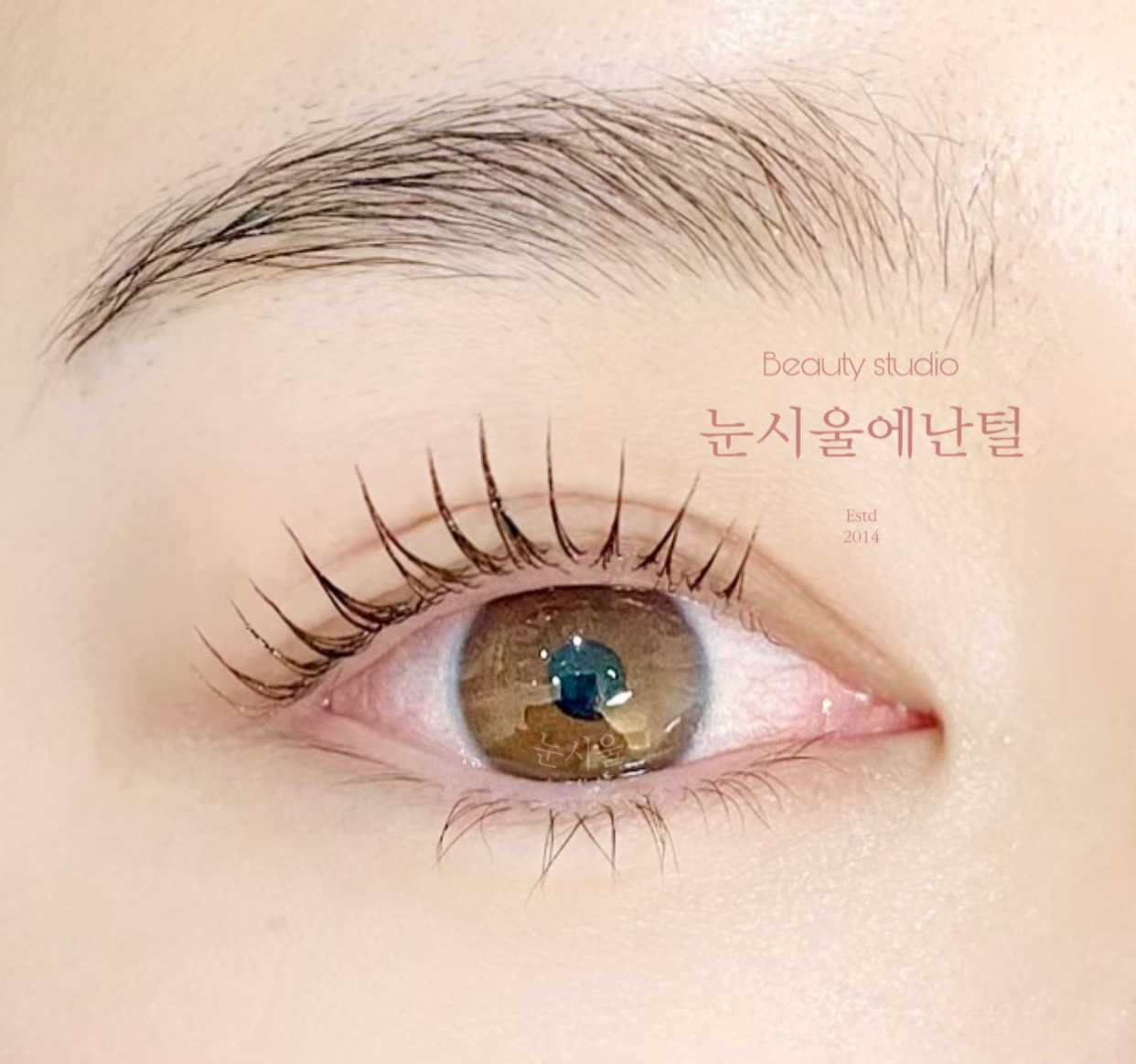 눈시울에난털