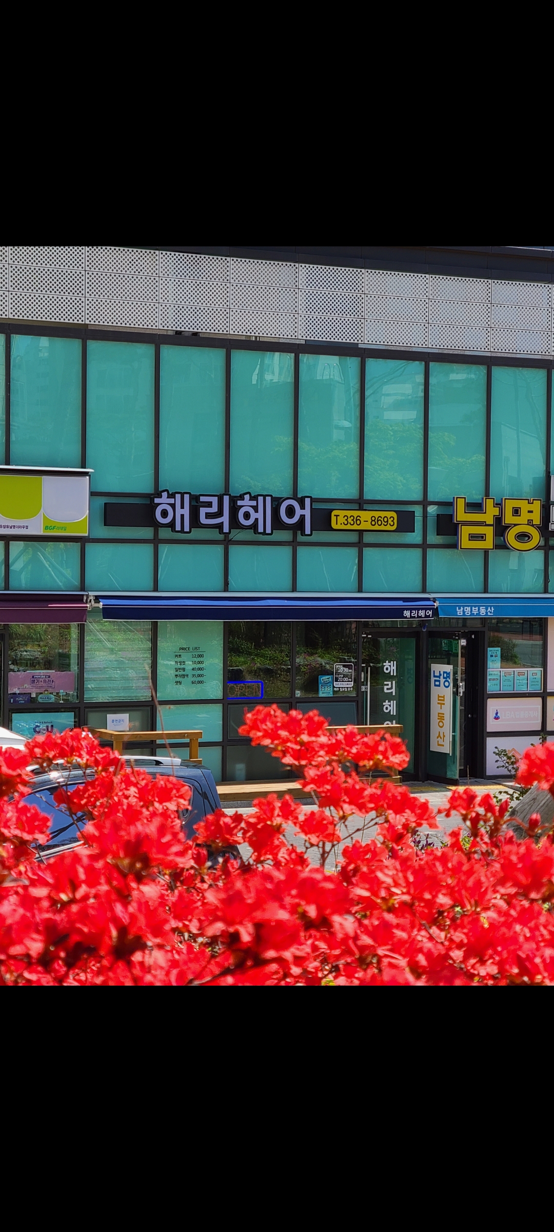 해리헤어