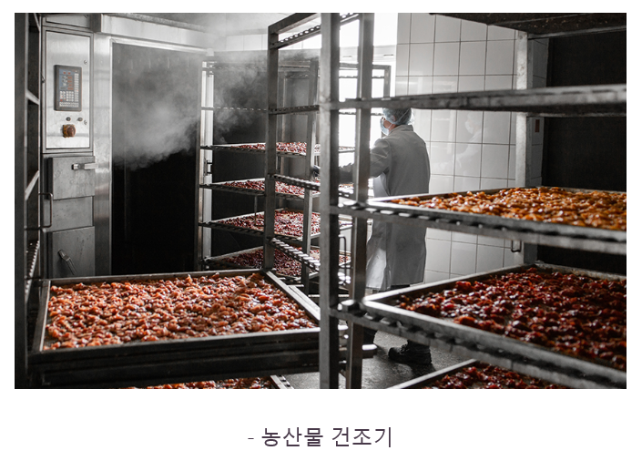 금왕센추리