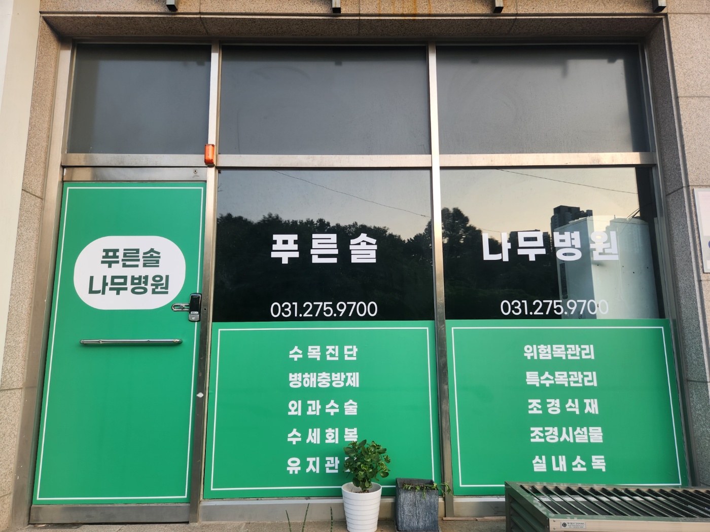 푸른솔나무병원