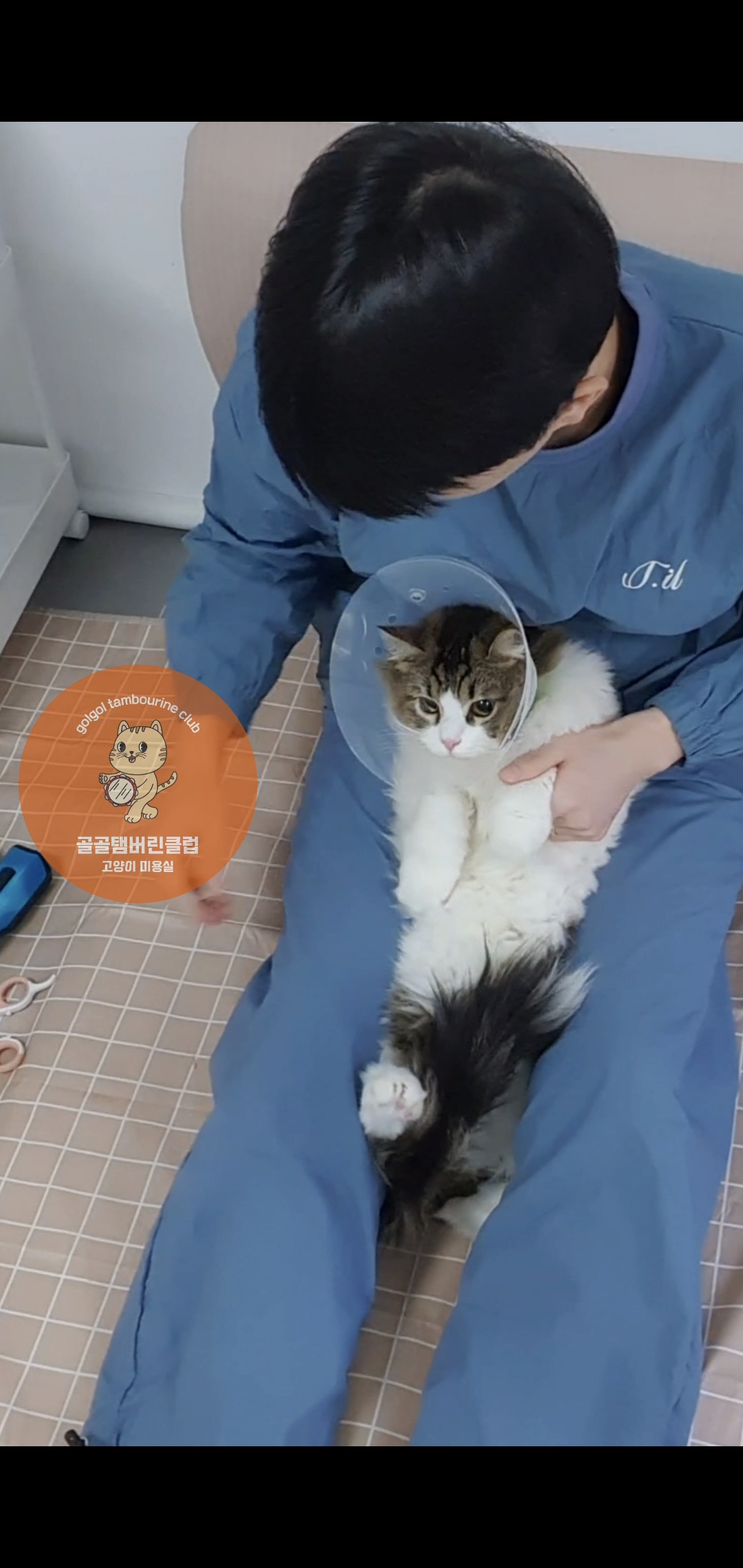 골골탬버린클럽 대표 이미지