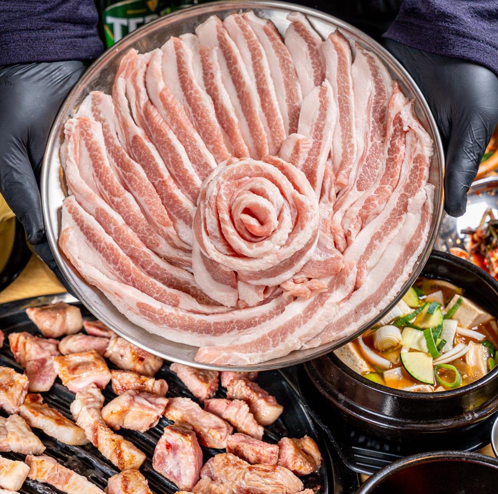 336돈돼지