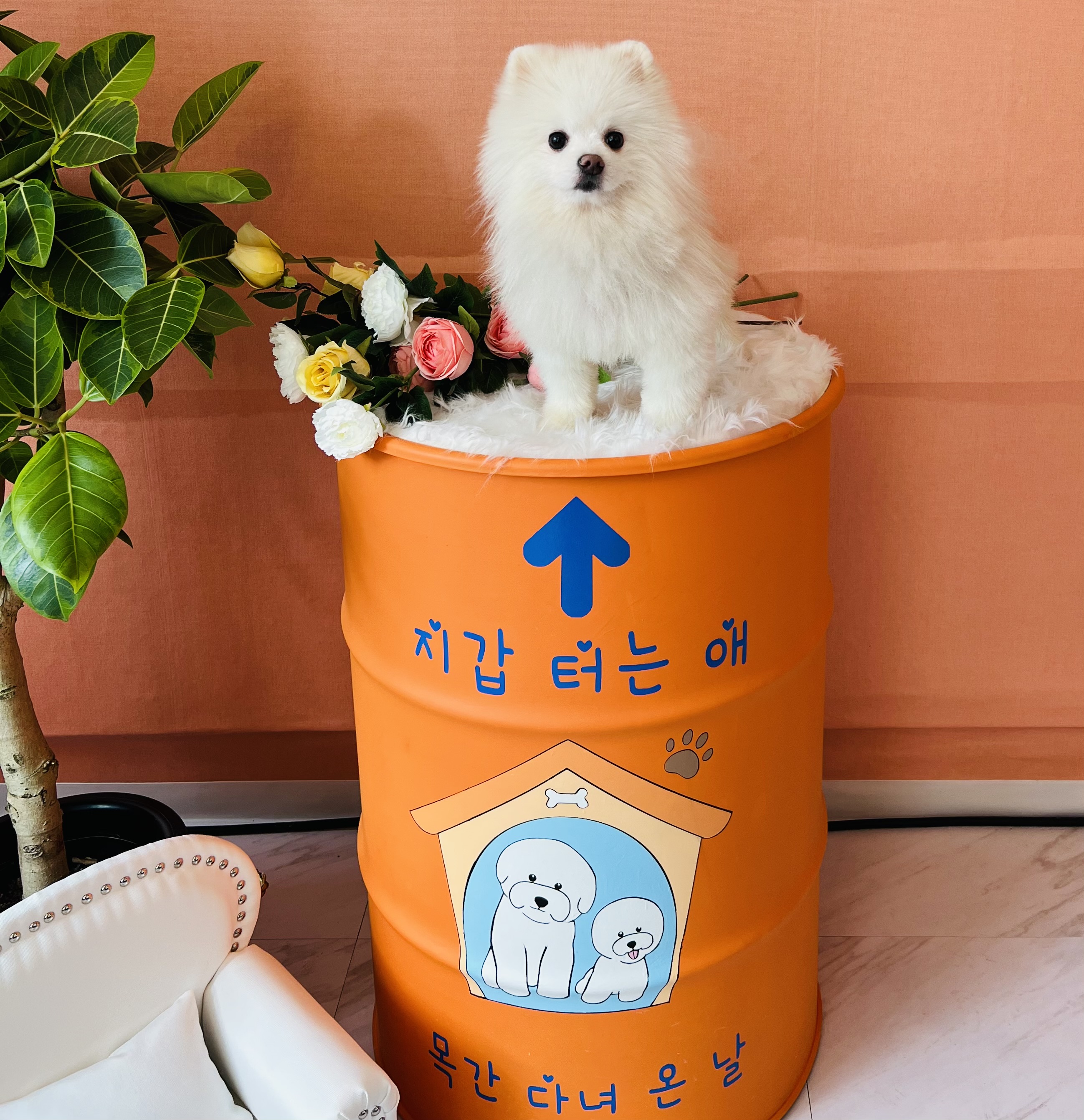 에바가위컷전문점 대표 이미지