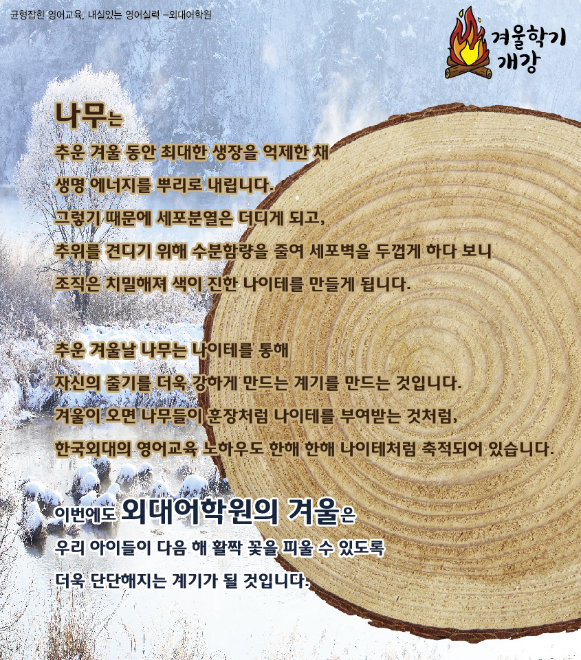 시지 외대어학원 대표 이미지