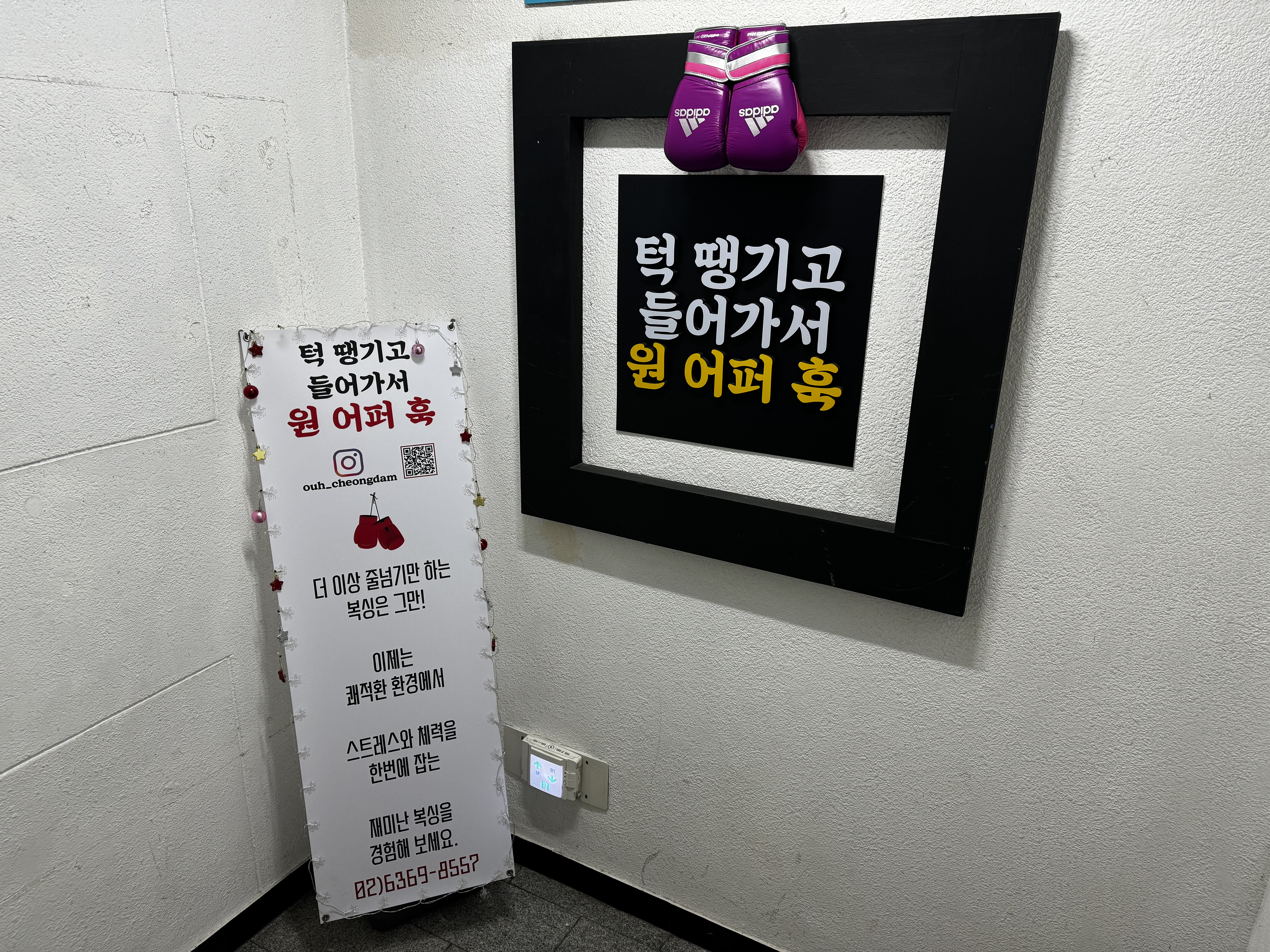 서울 강남구 학동로101길 복싱체육관 턱 땡기고 들어가서 원 어퍼 훅 내부 모습 4