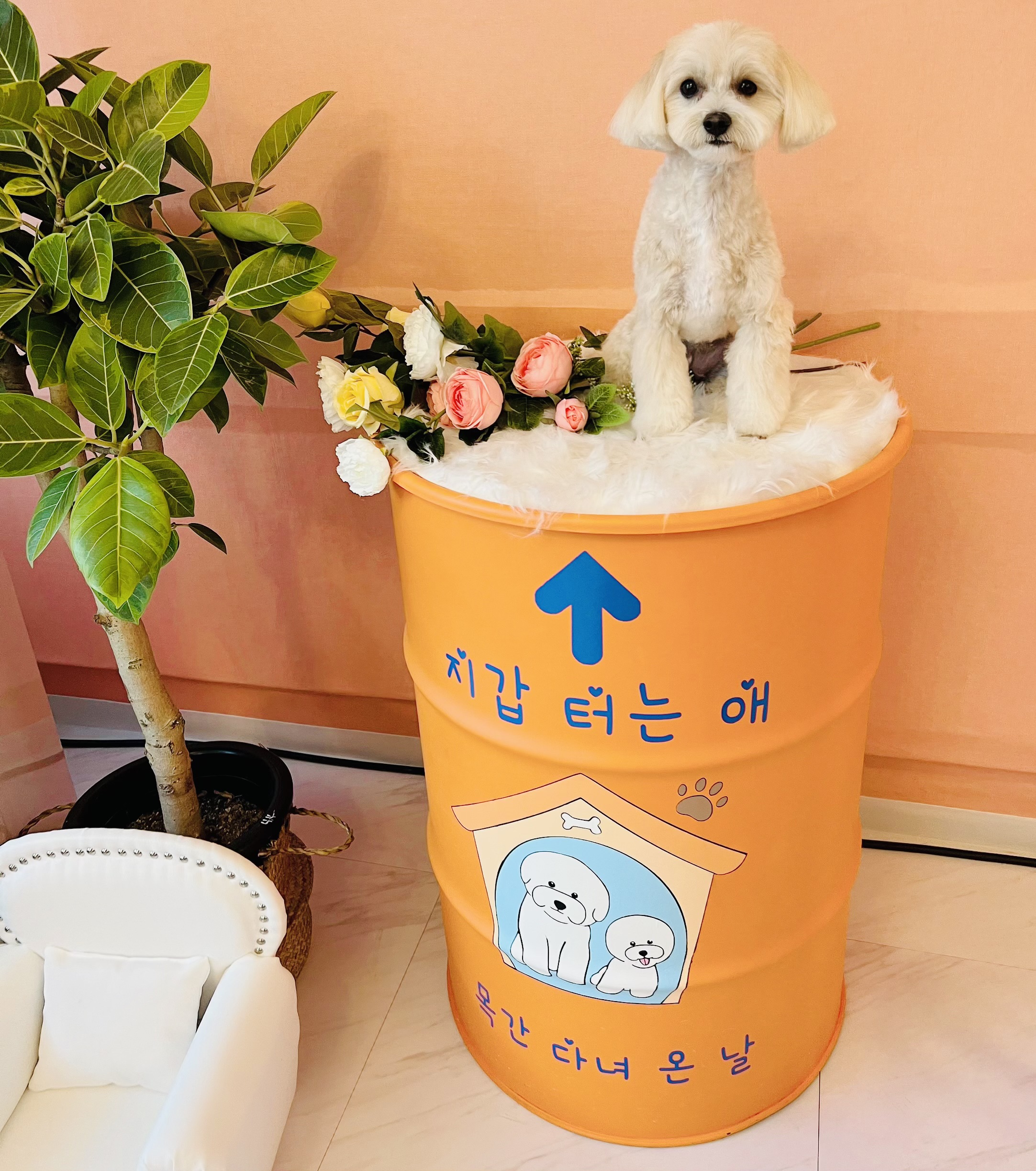 에바가위컷전문점 대표 이미지