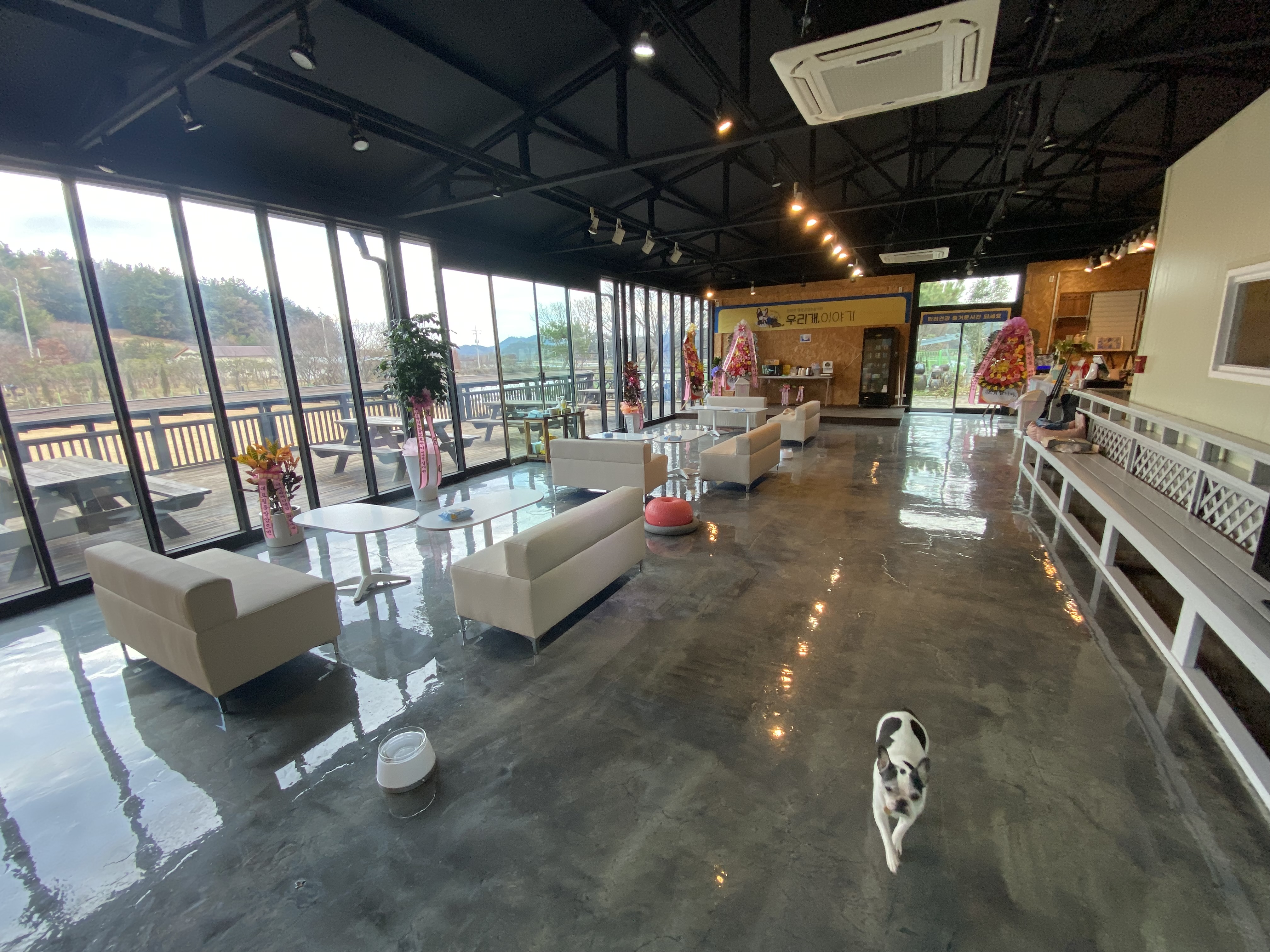 우리개이야기 대표 이미지