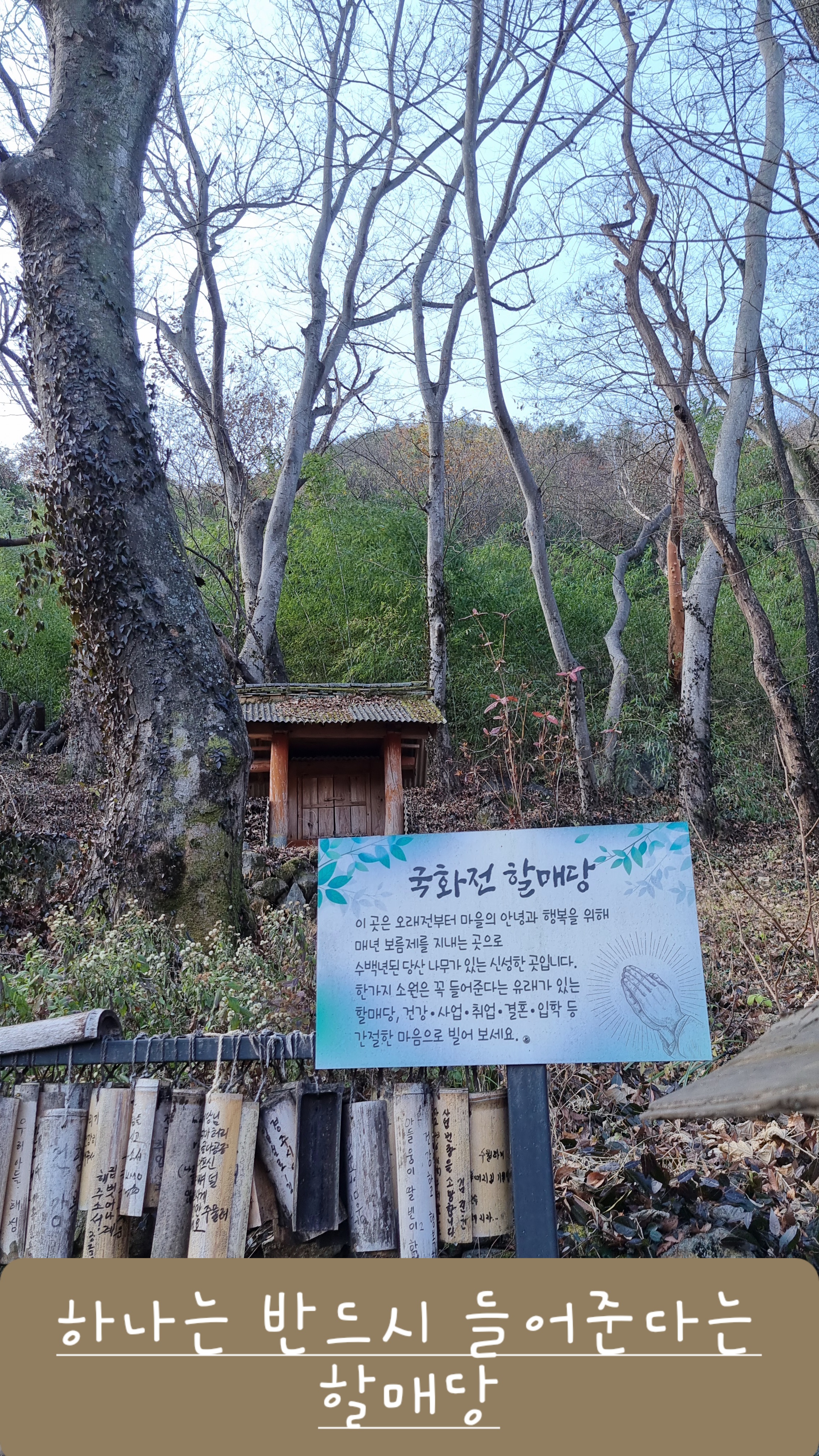 산아래 휴