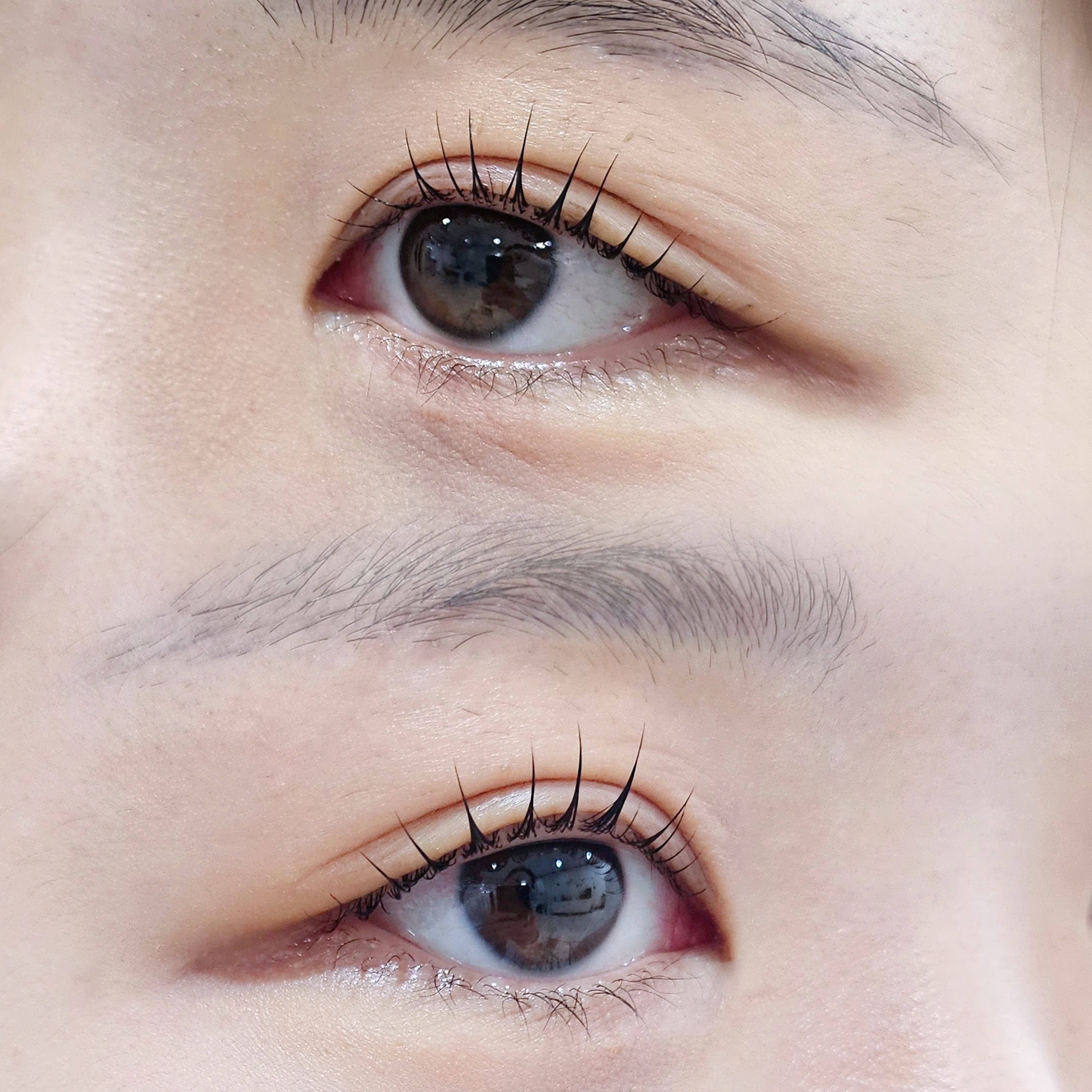 브리지데이