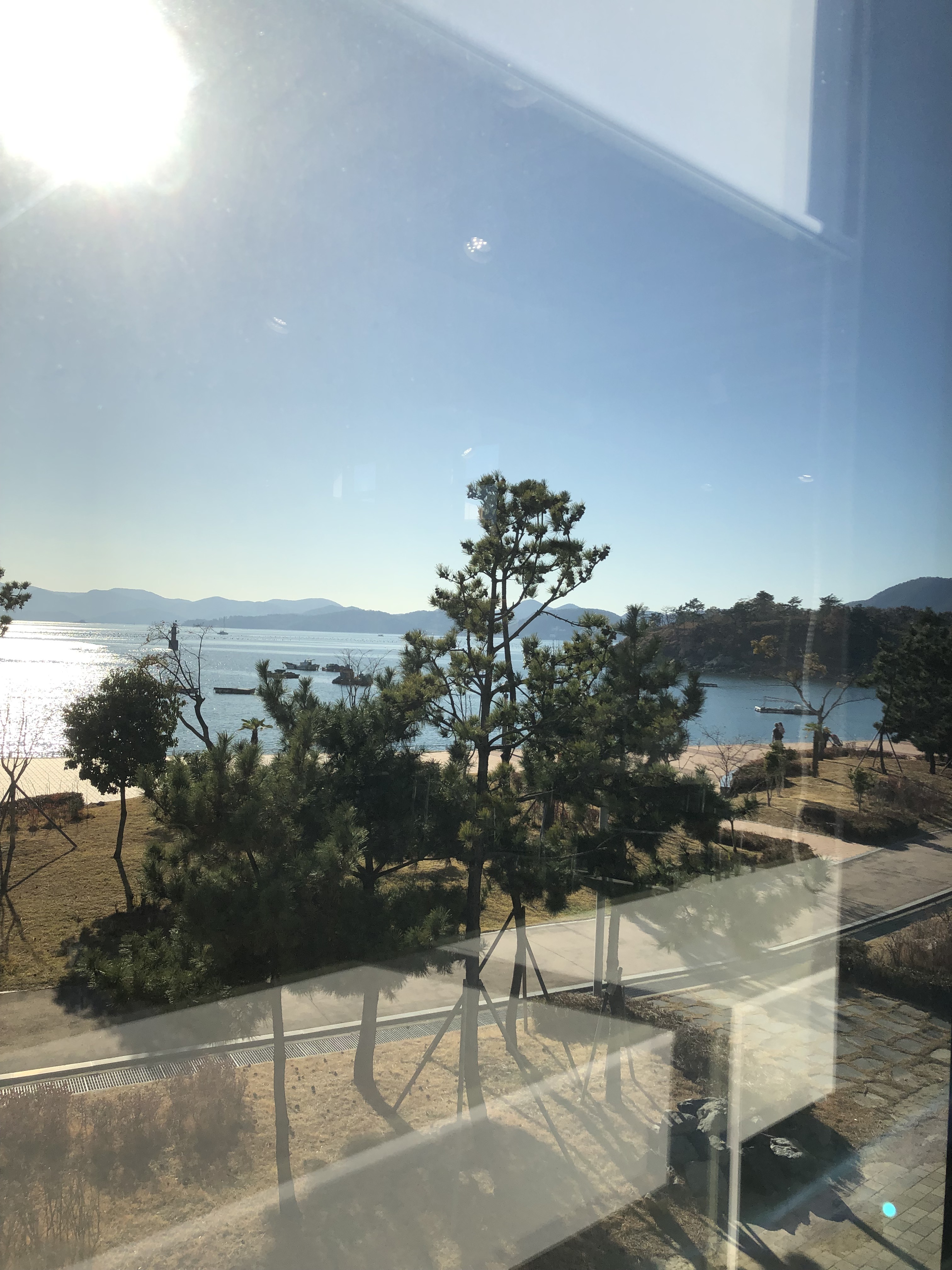 라세나헤어