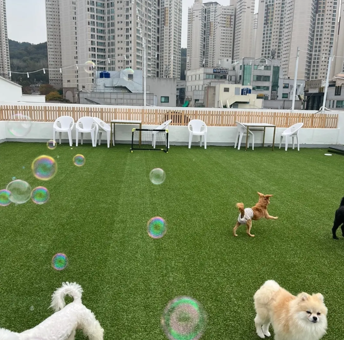 노팅힐 5