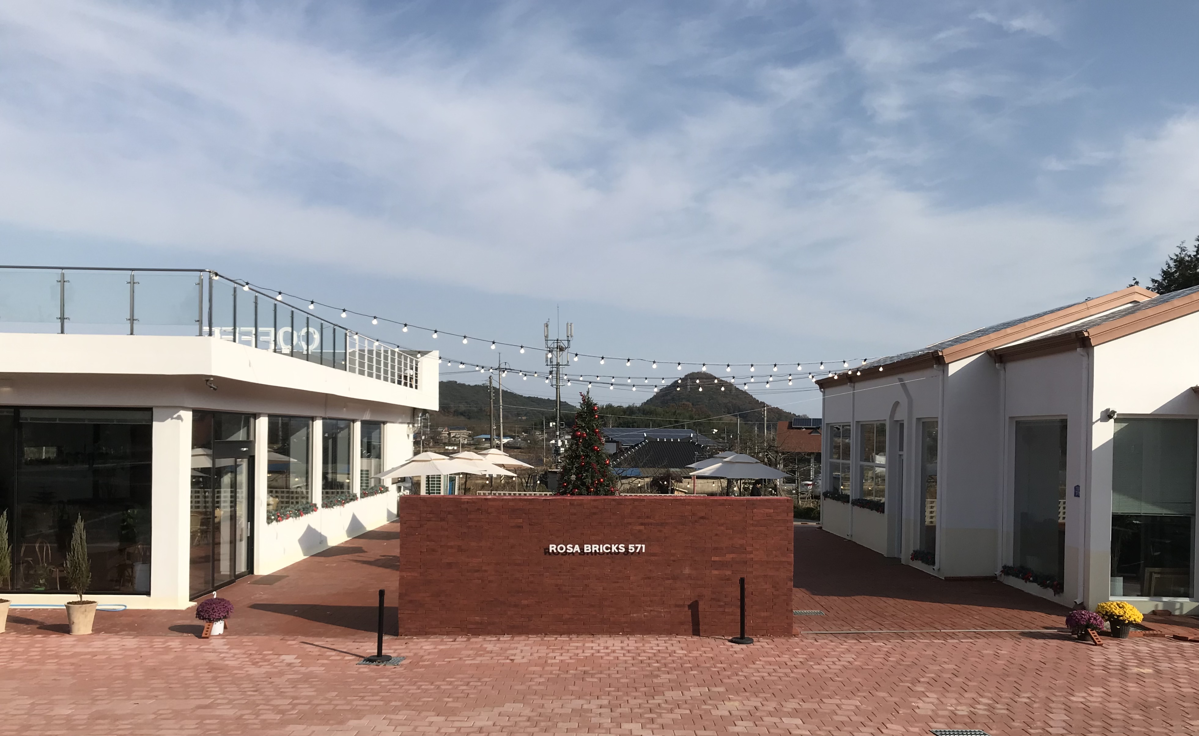 로사브릭스571 3