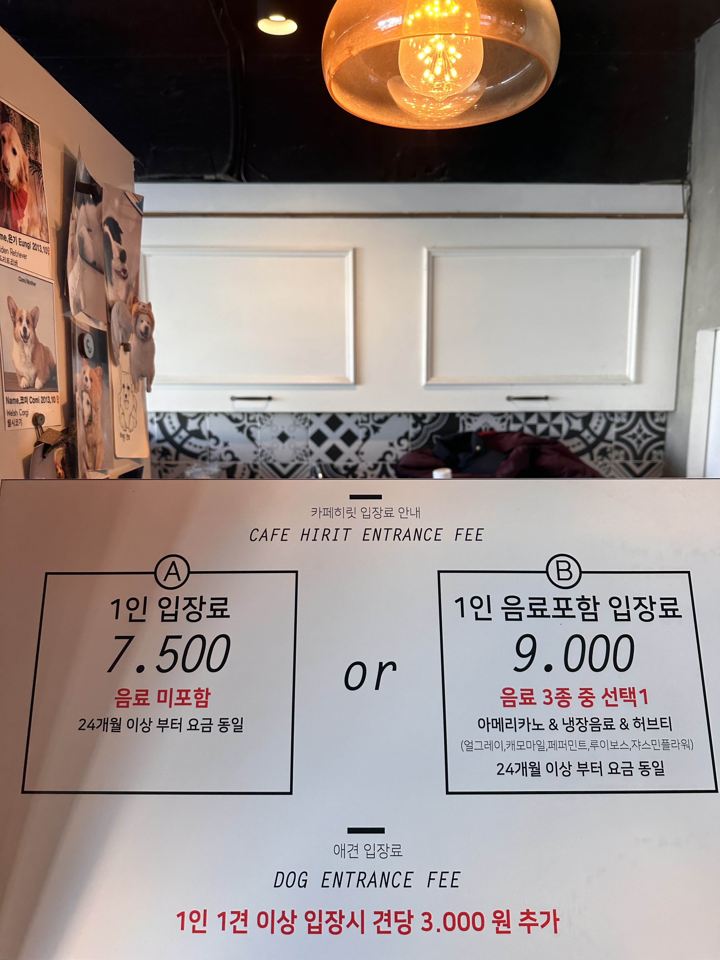애견카페히릿 건대점