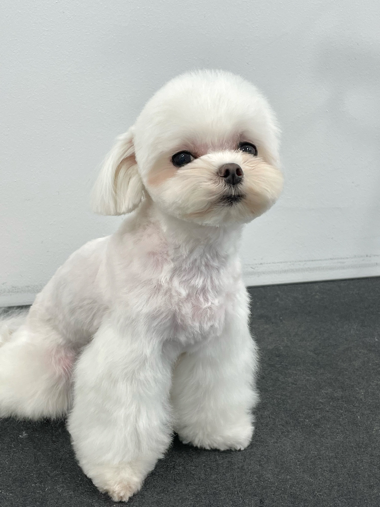 우다다 4