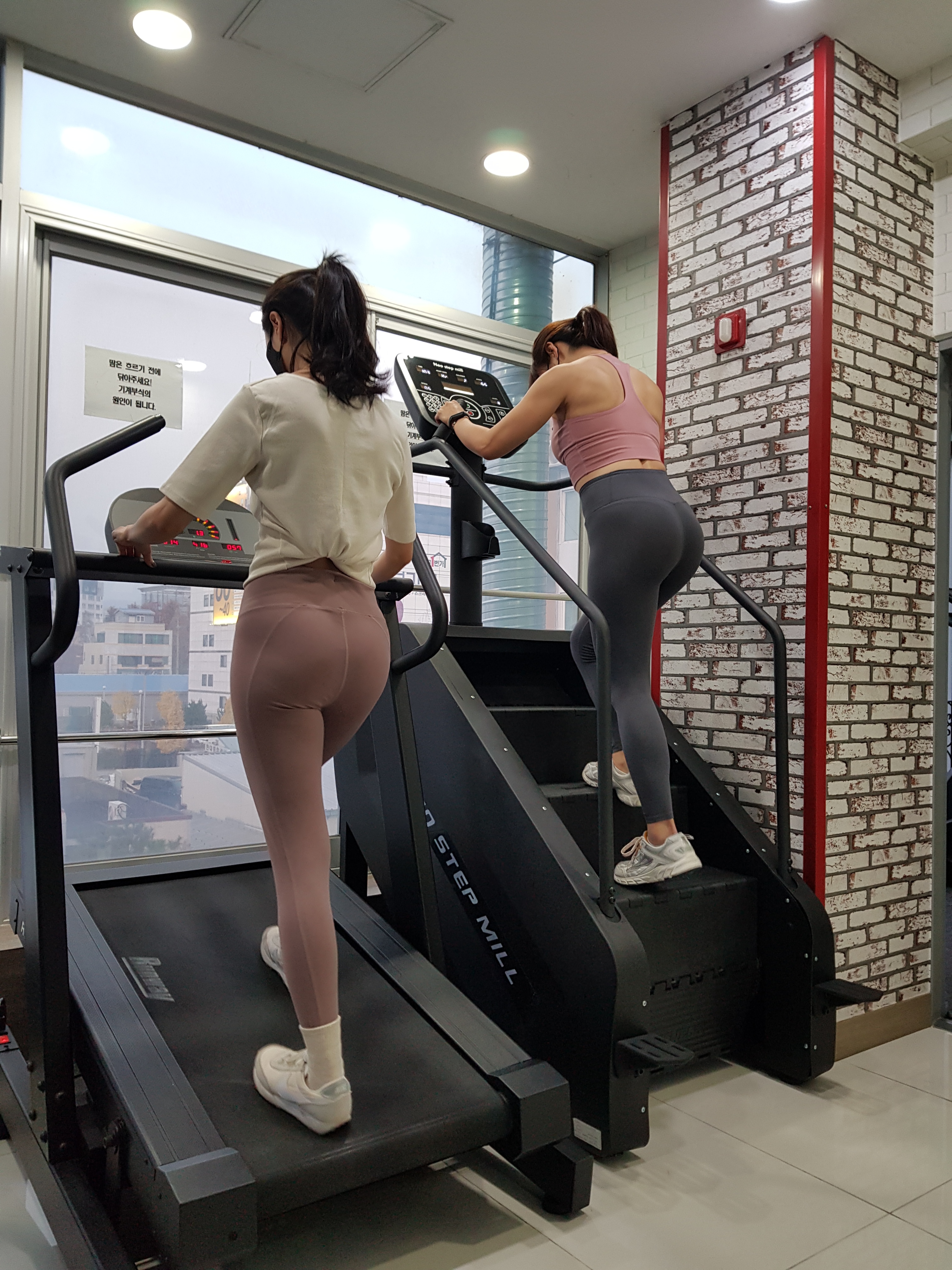 S휘트니스