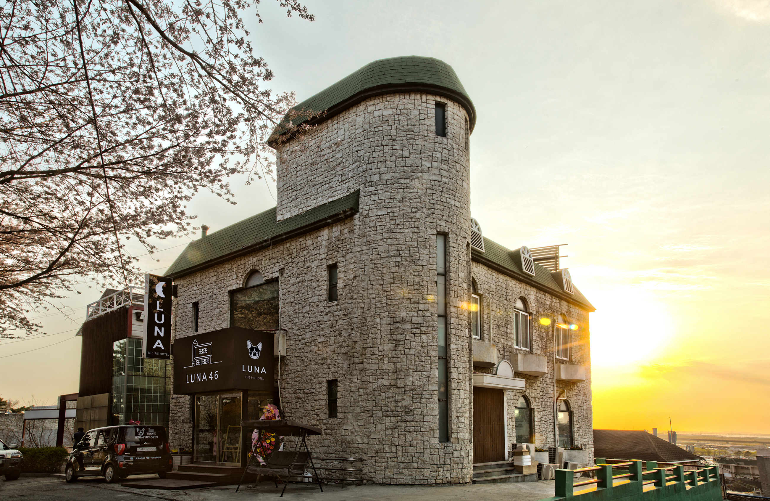 루나펫 대표 이미지