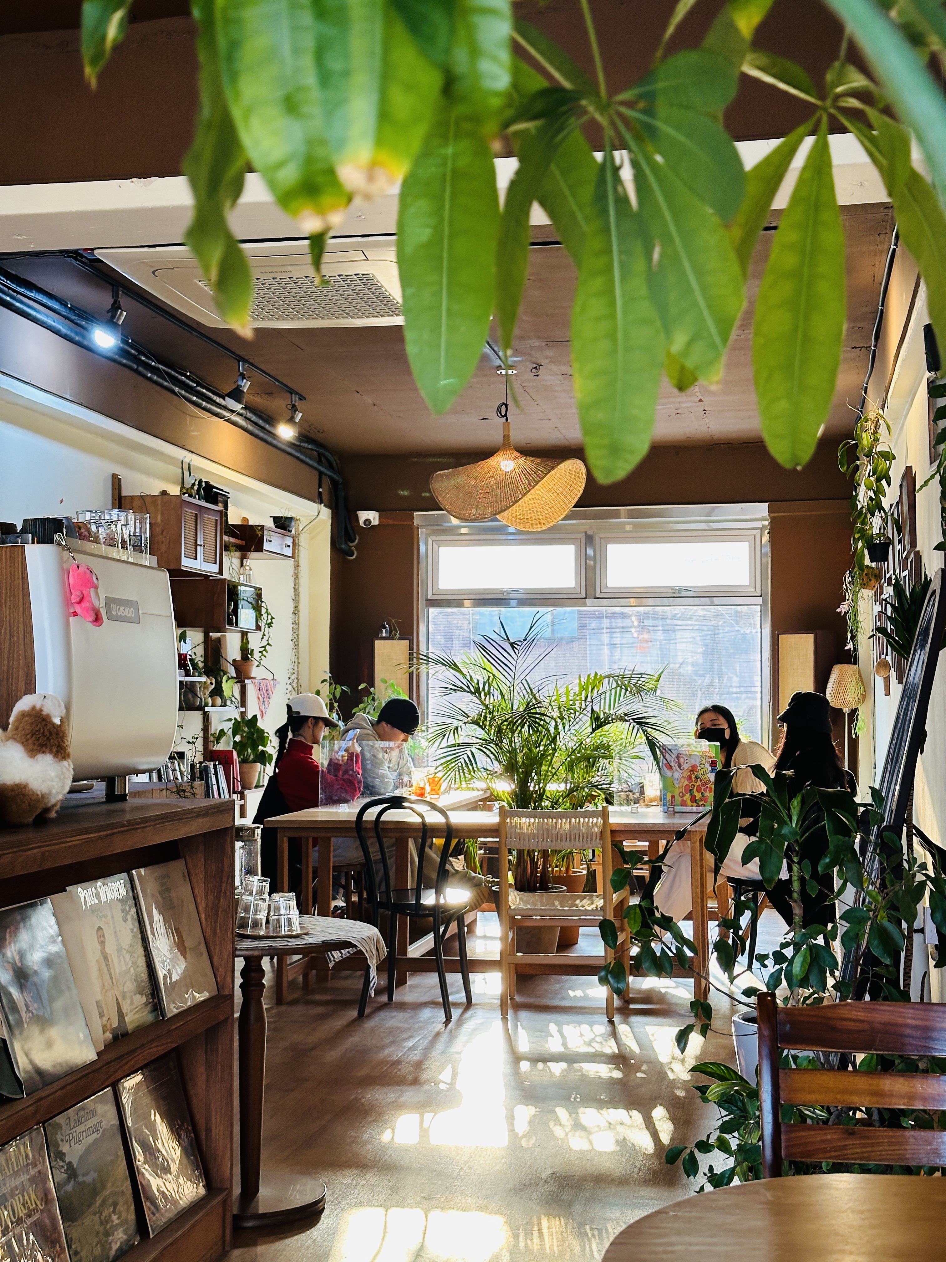 화월만당