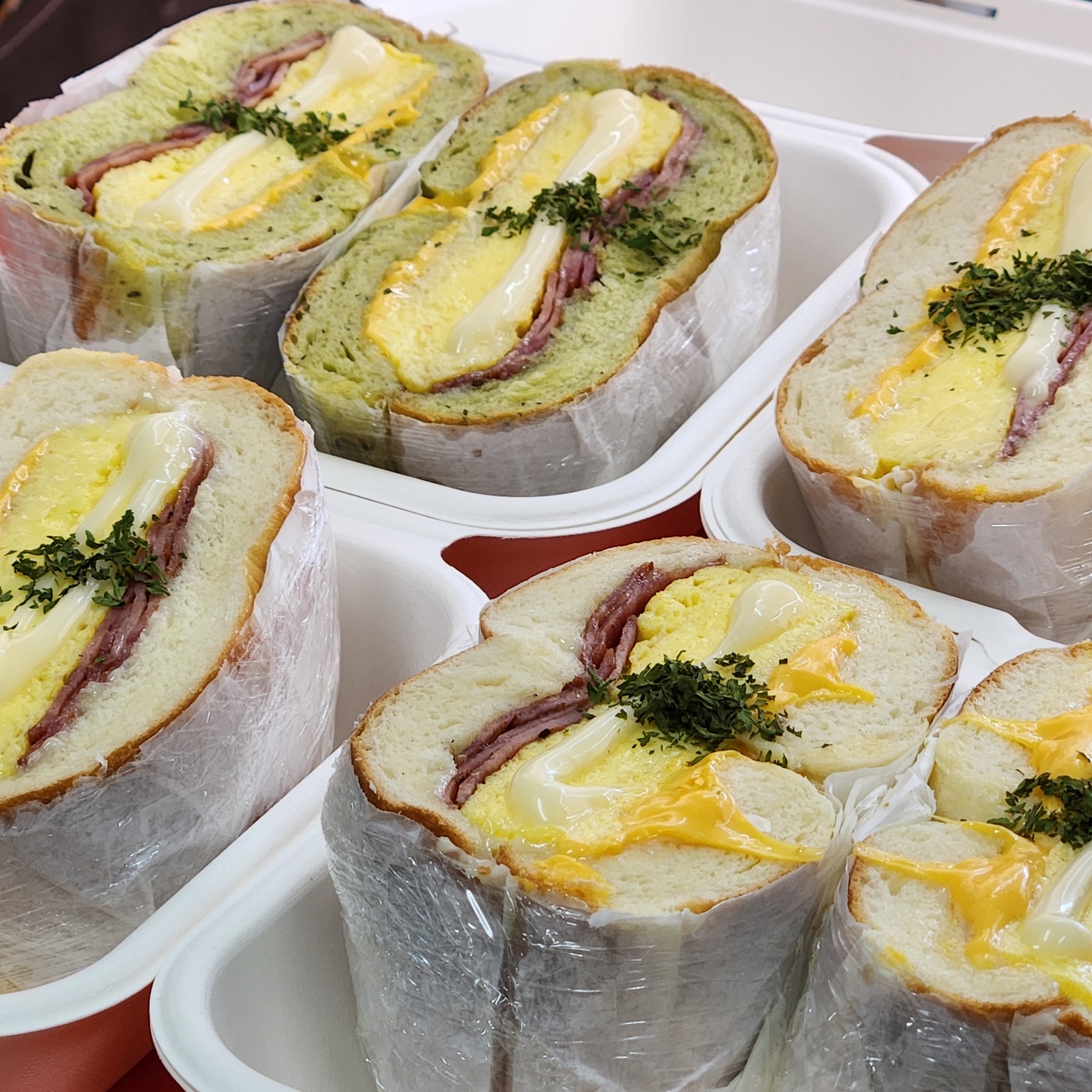 힙토끼 충청 애견맛집