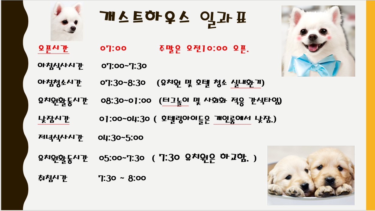 개스트하우스 2