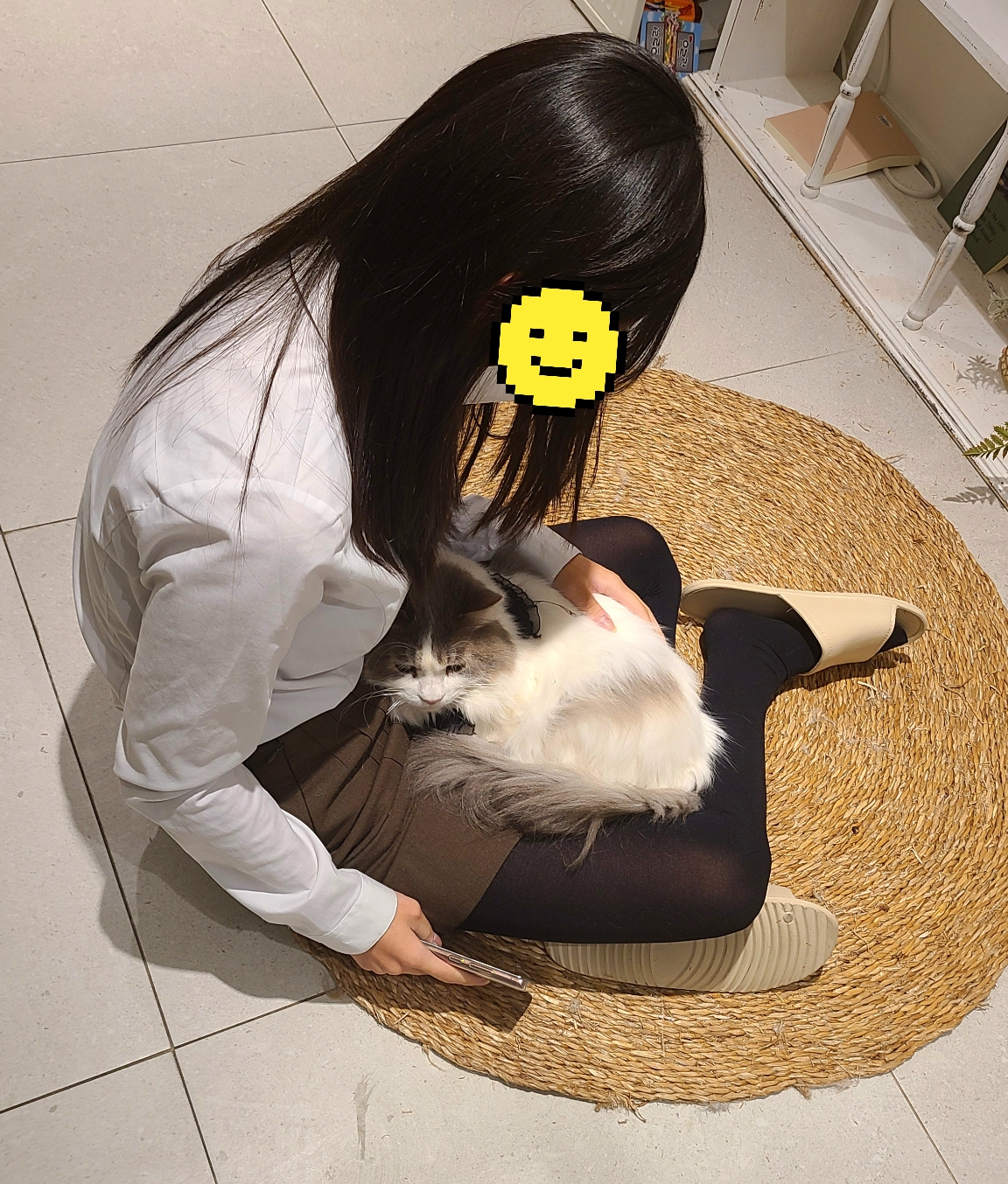 벌툰 봉화당 아주대점