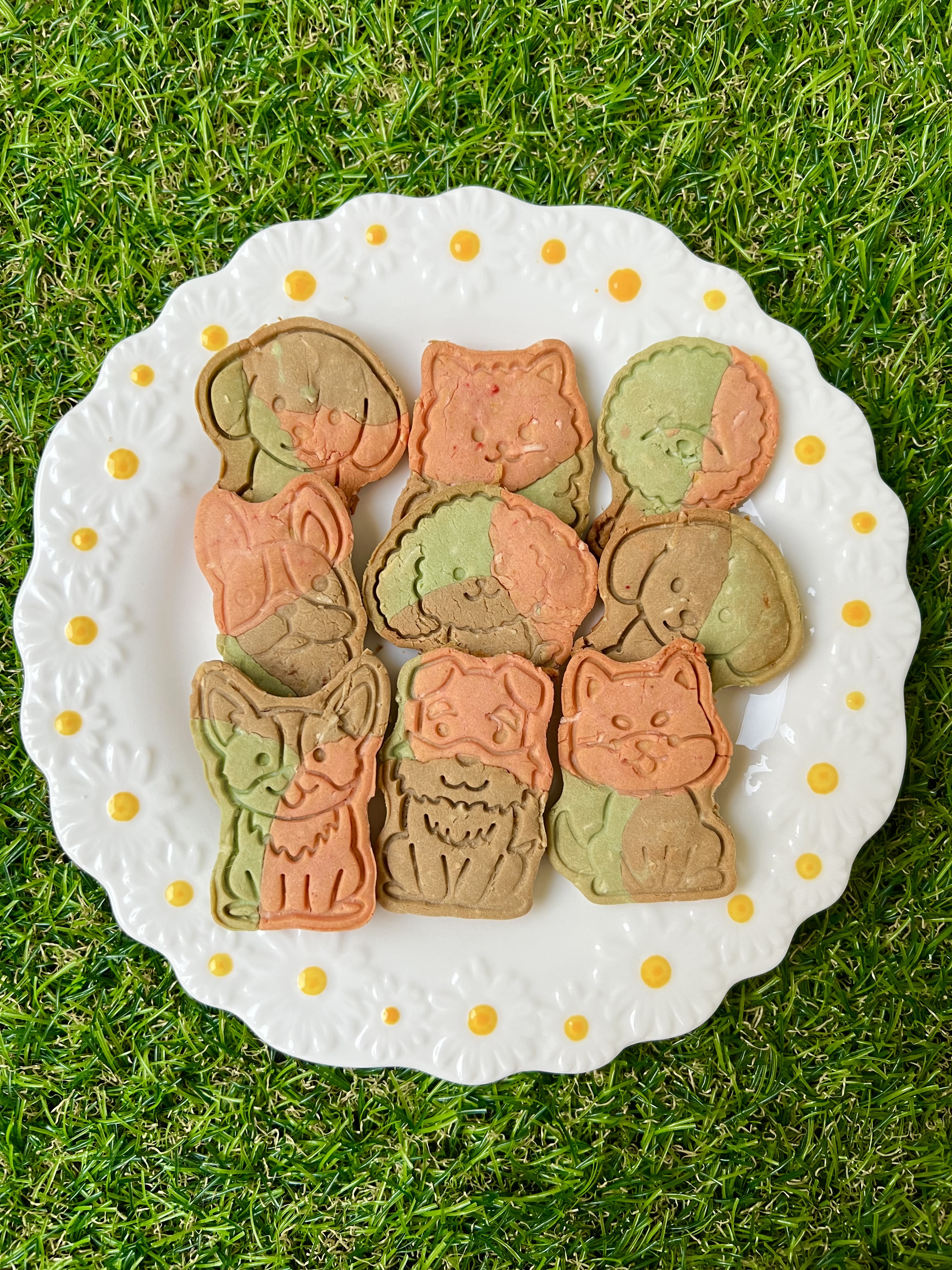 까까뭐멍냥