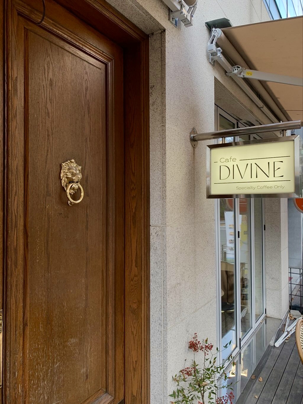CAFE DIVINE