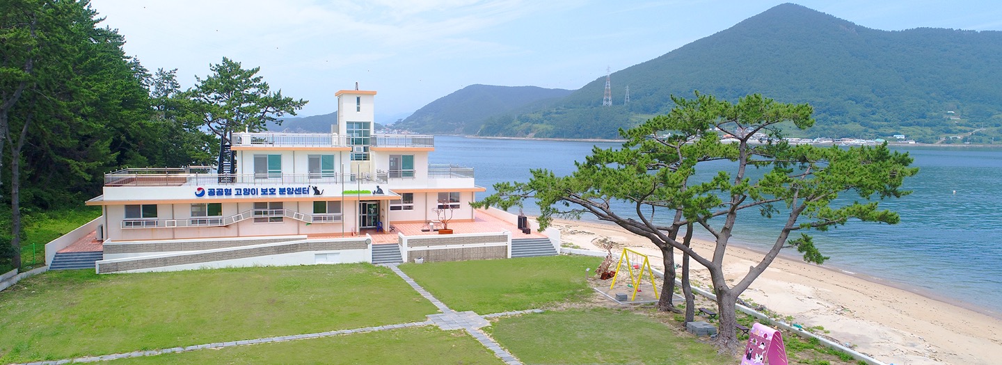 공공형고양이보호분양센터