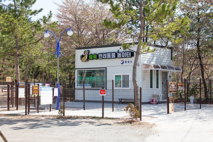 숲속반려동물놀이터