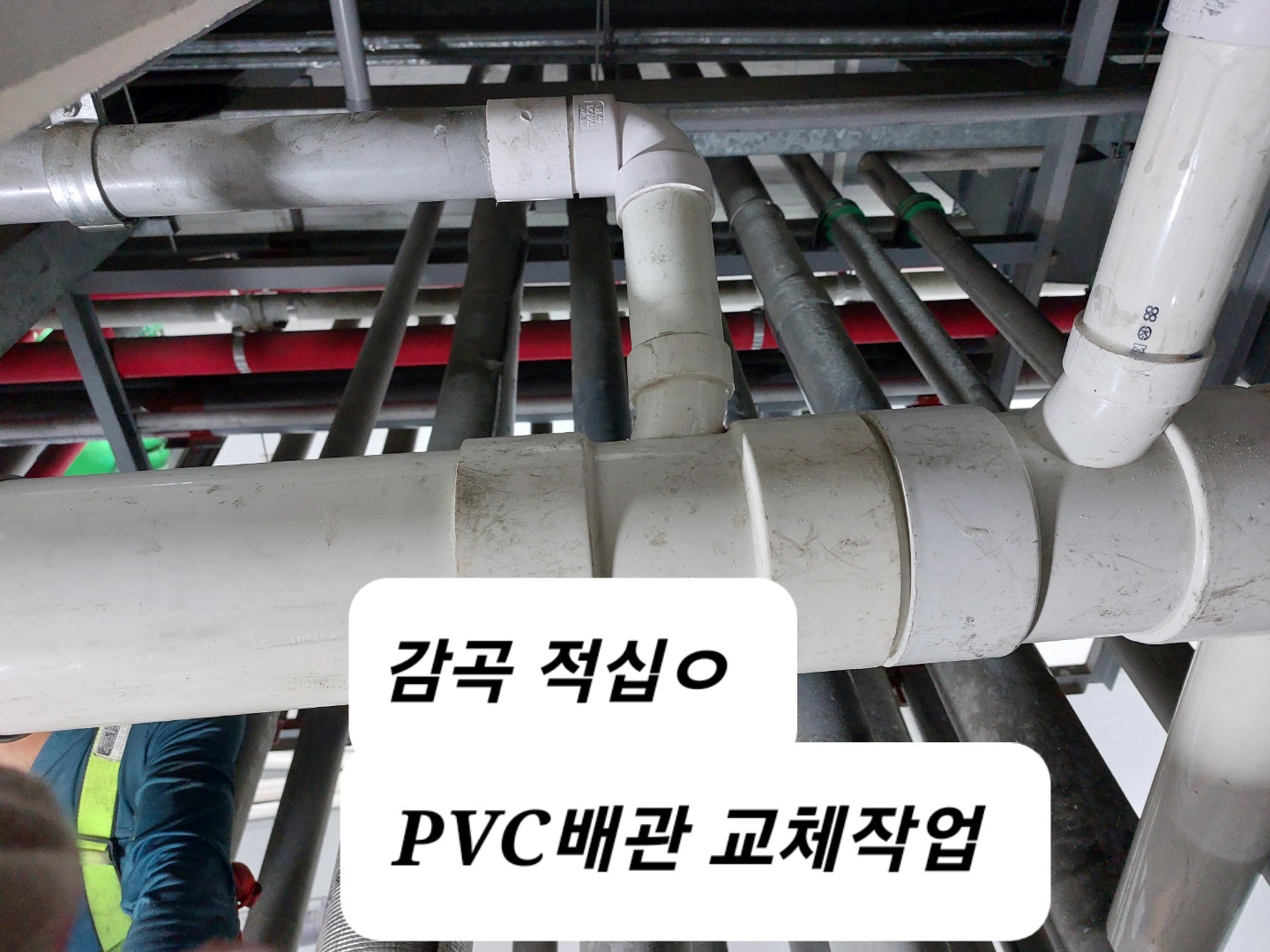 다고쳐