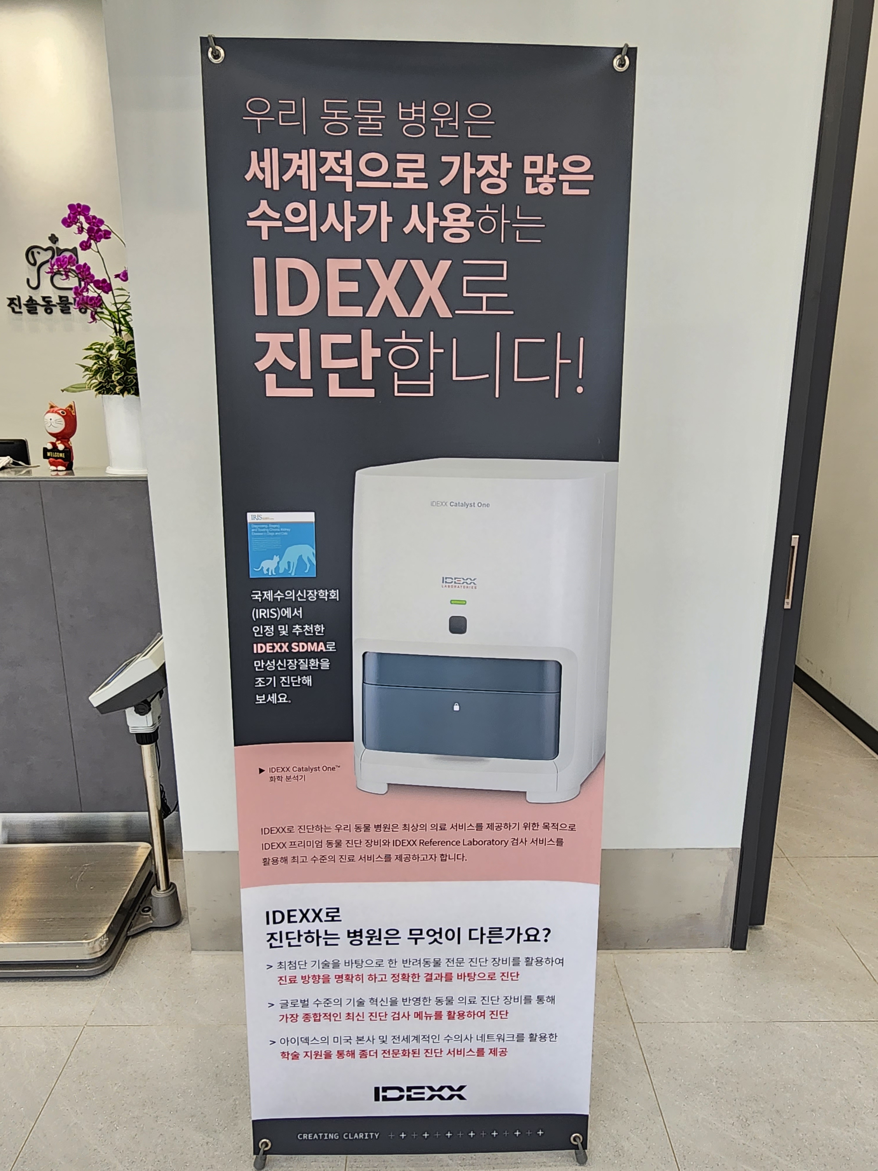 진솔동물병원 대표 이미지