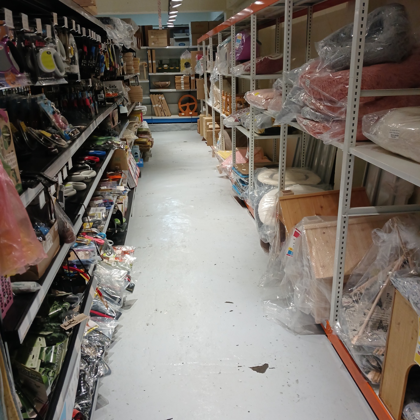 강아지와고양이아울렛 석전점 대표 이미지