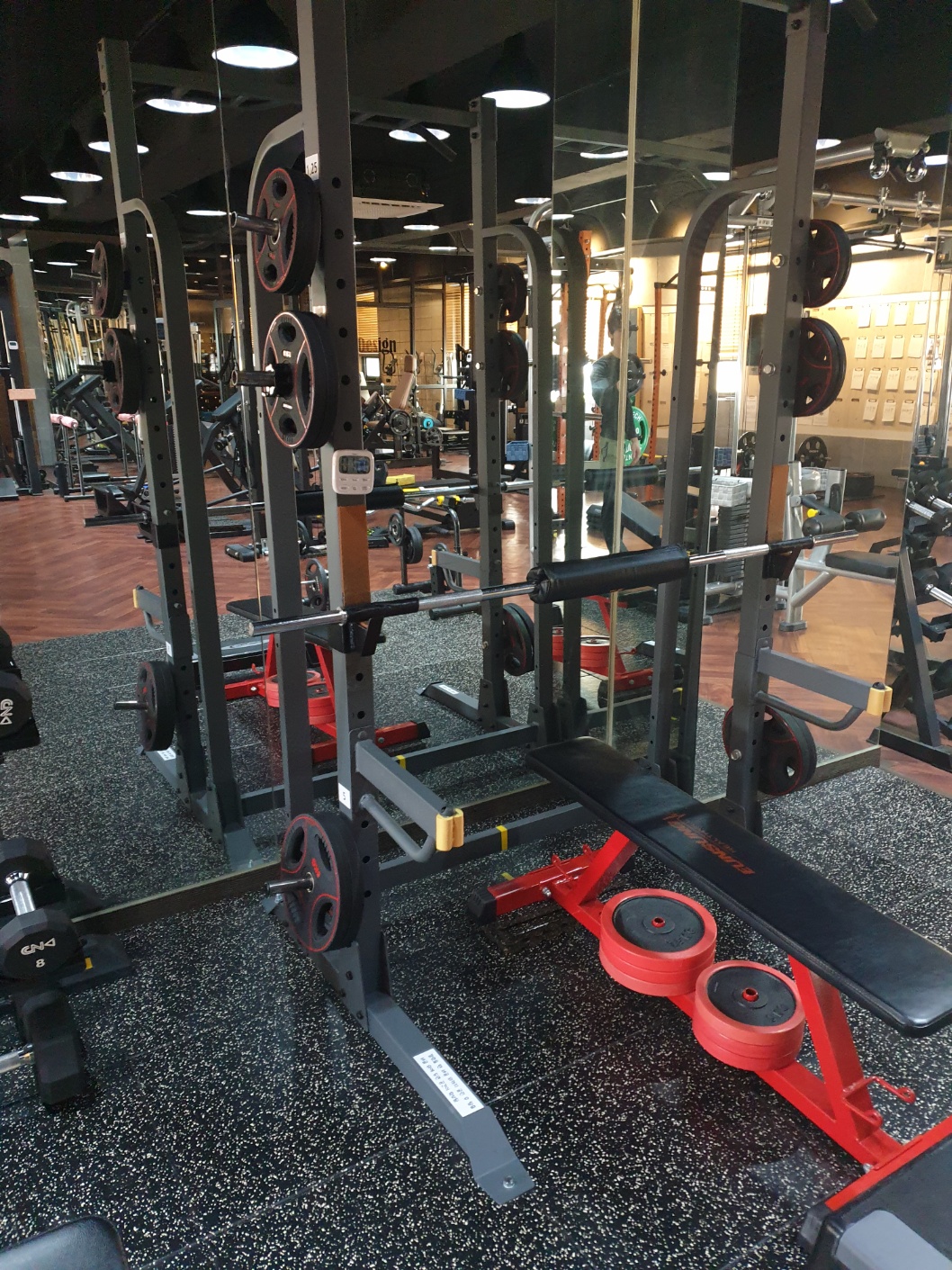 바디디자인 PT샵 대표 이미지