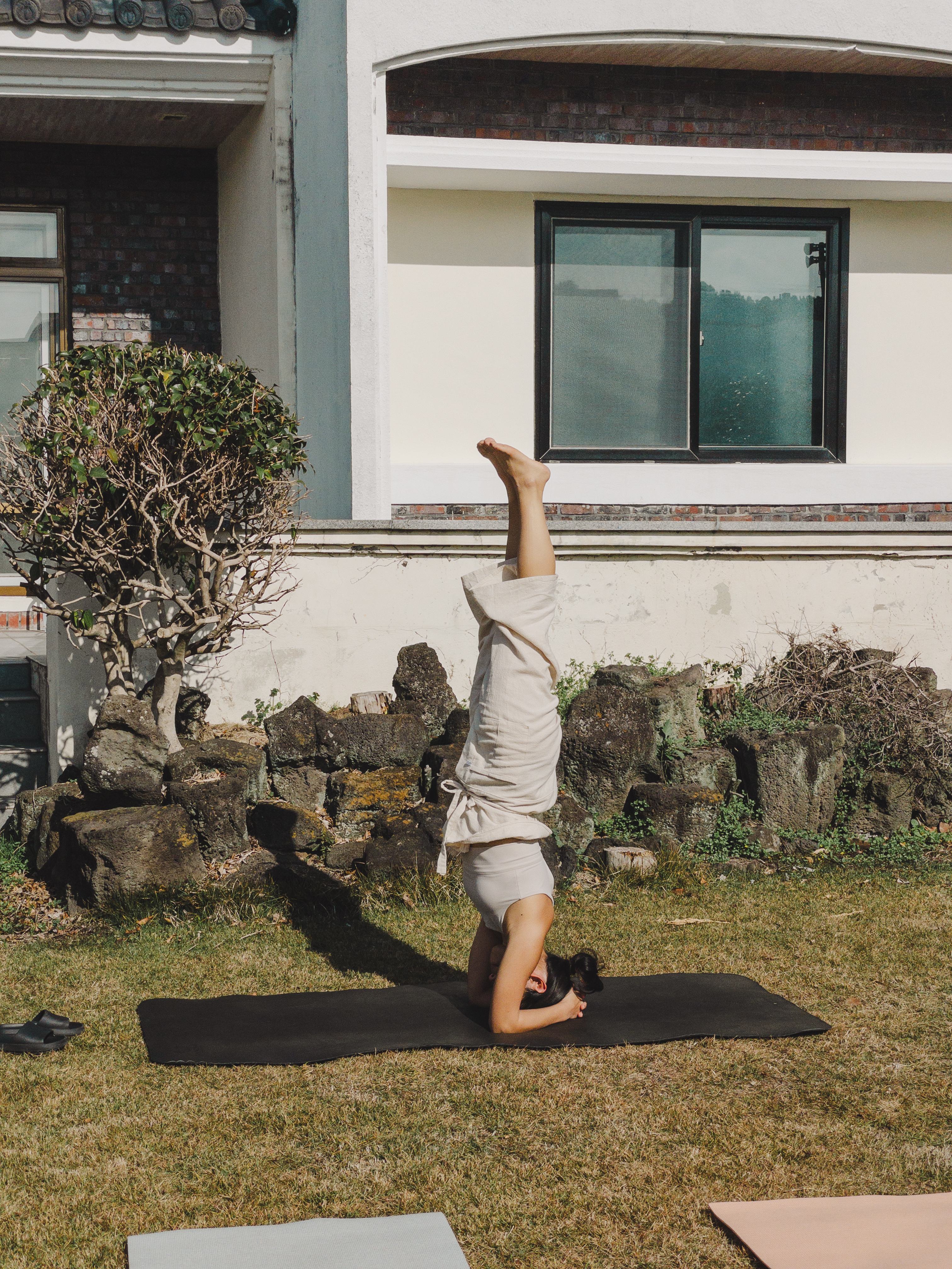 요가낙 대표 이미지