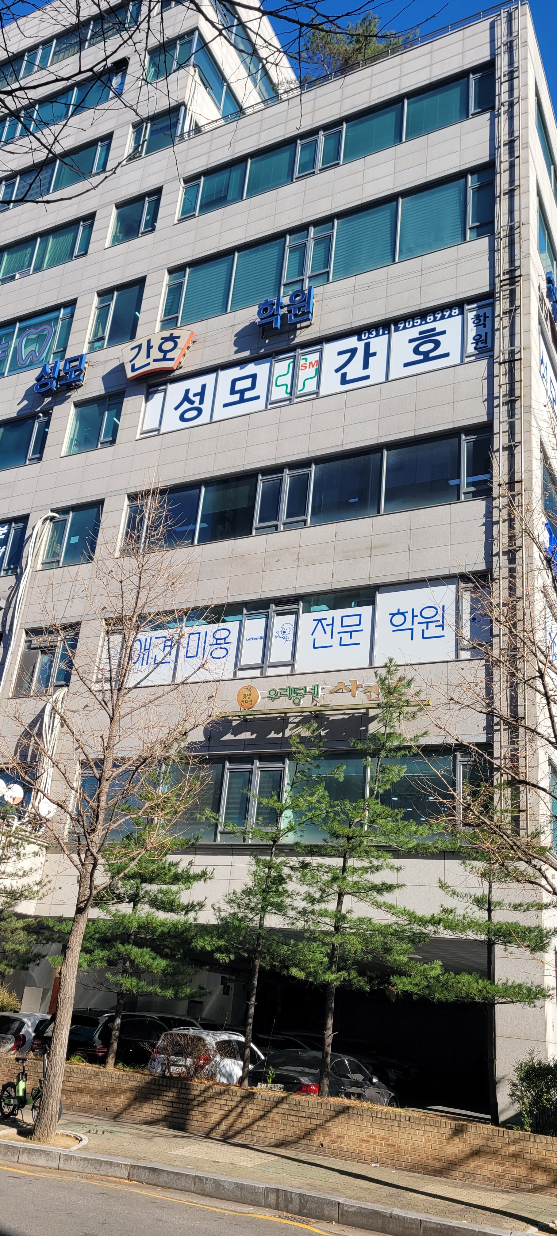 성모간호학원